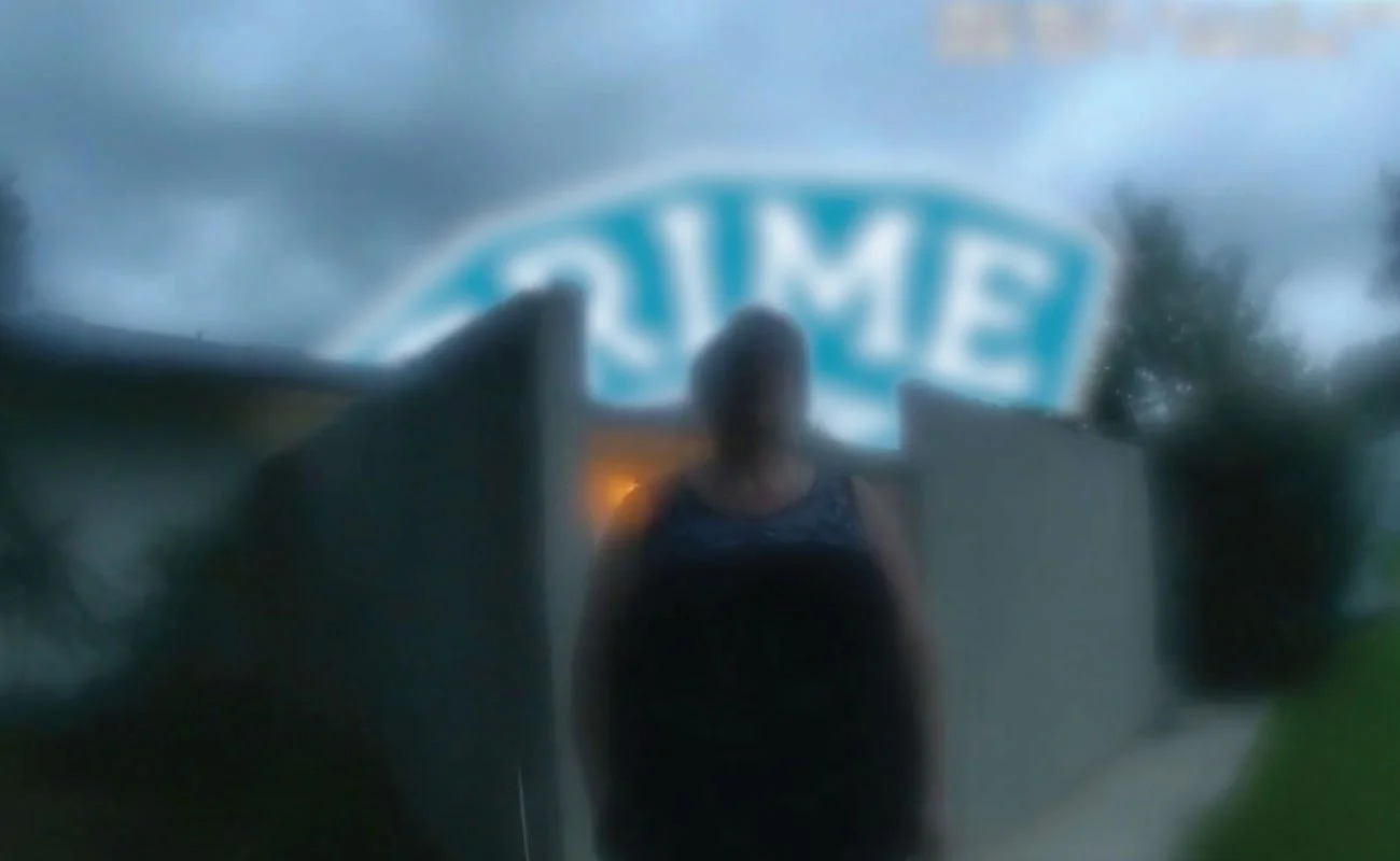 The Perfect Neighbor