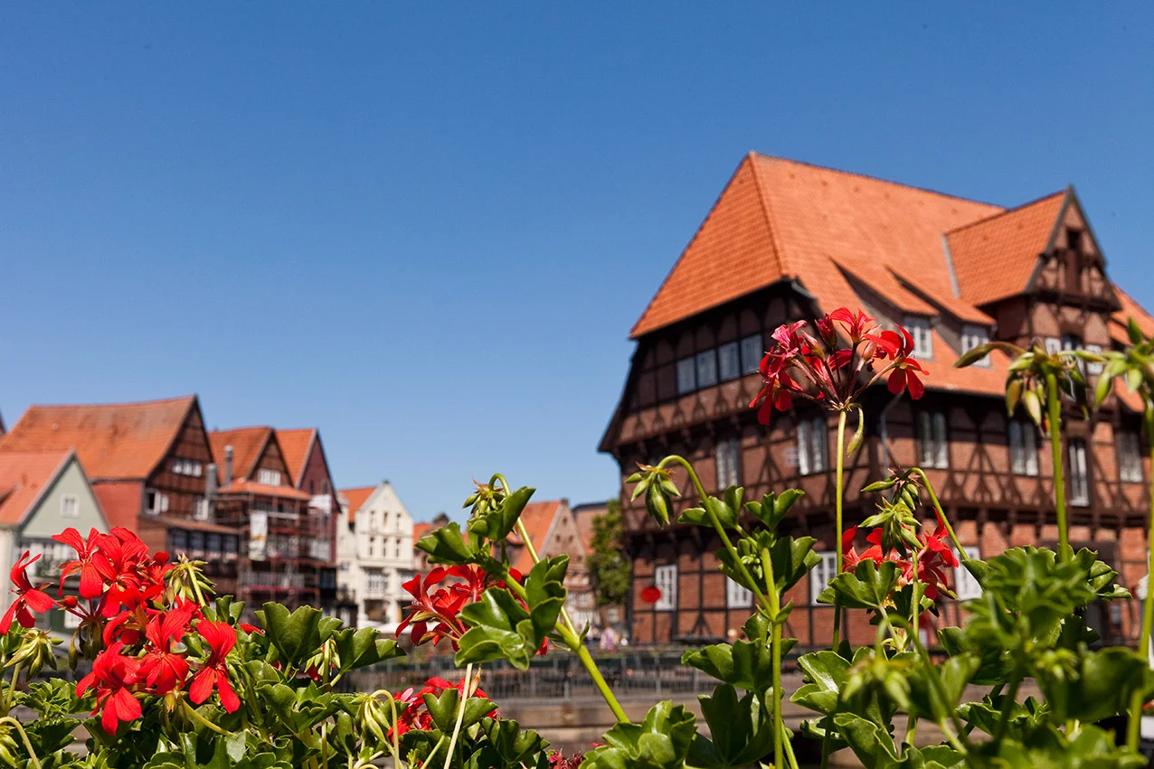 Dreharbeiten_Rote_Rosen_16.jpg