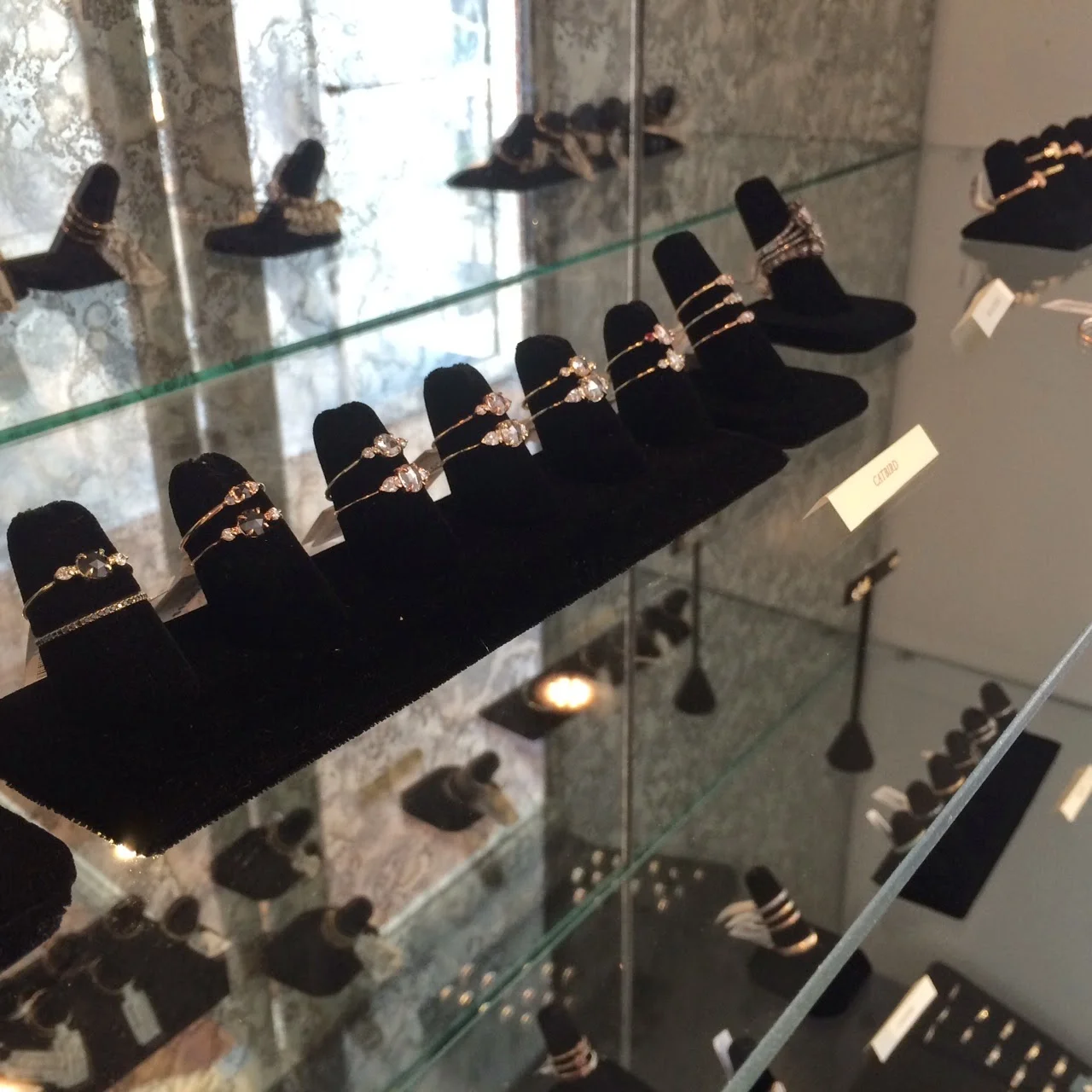 Catbird blog 
