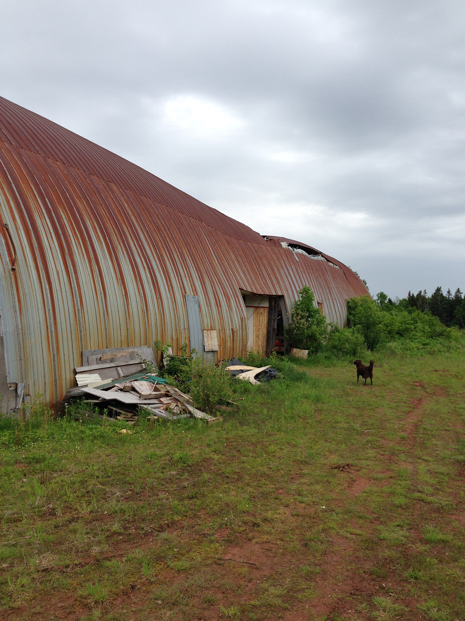 Our very own collapsed community hockey rink.