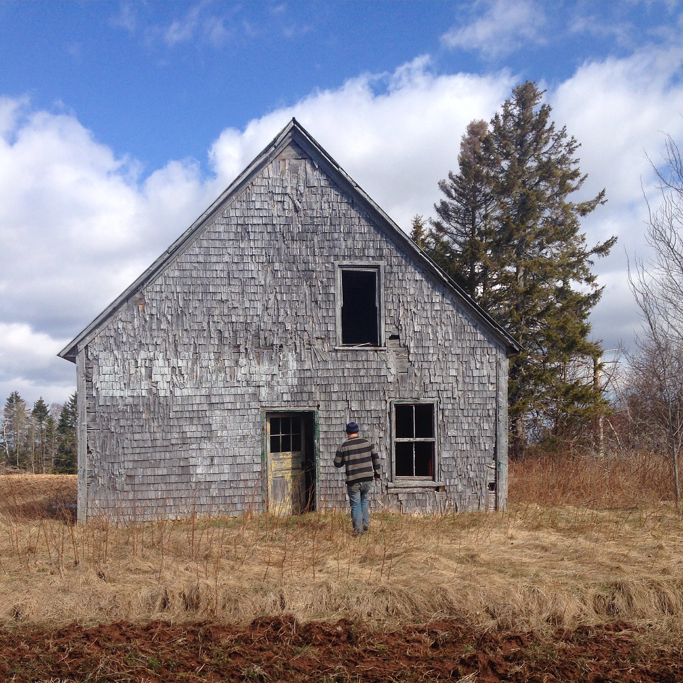 Farmhouse picking.