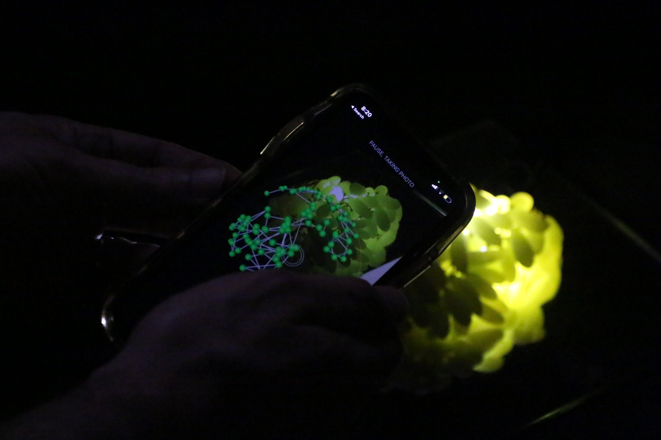  Each iteration of the work contemporaneously indexes and mediates its placement. 