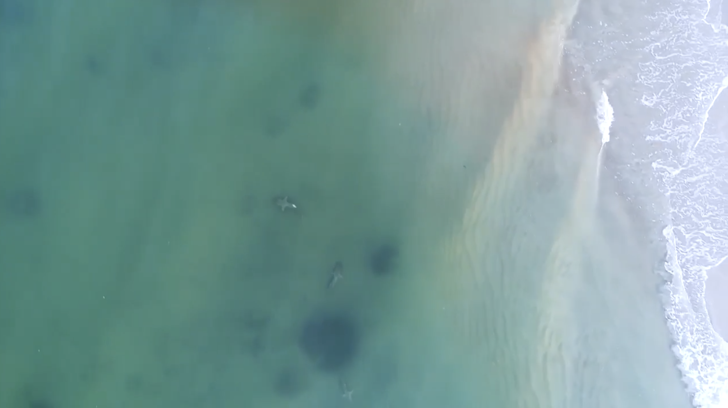 Screen Shot 2019-09-28 at 11.27.08 AM.png