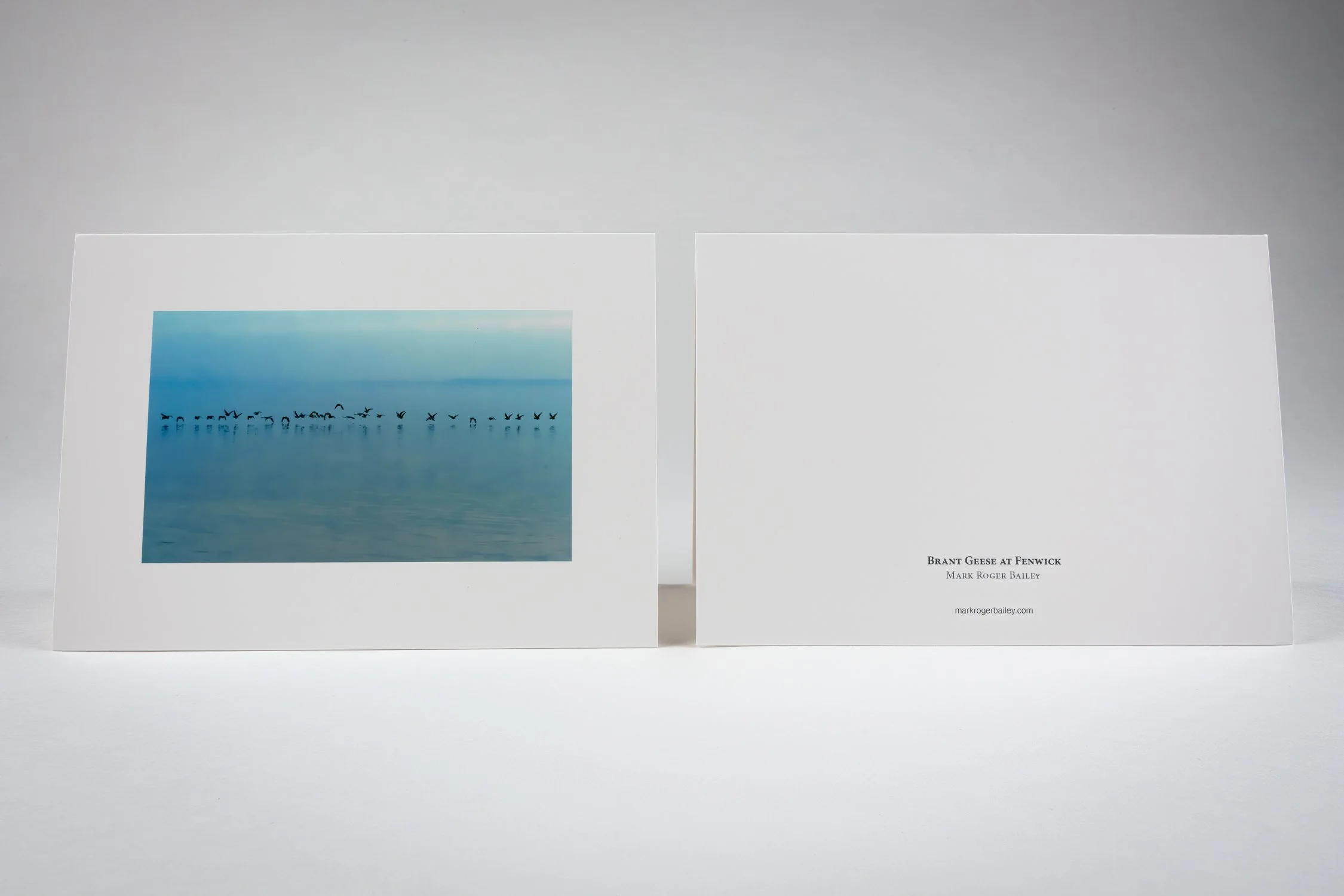Brandt Geese Note Card - front and back.jpg