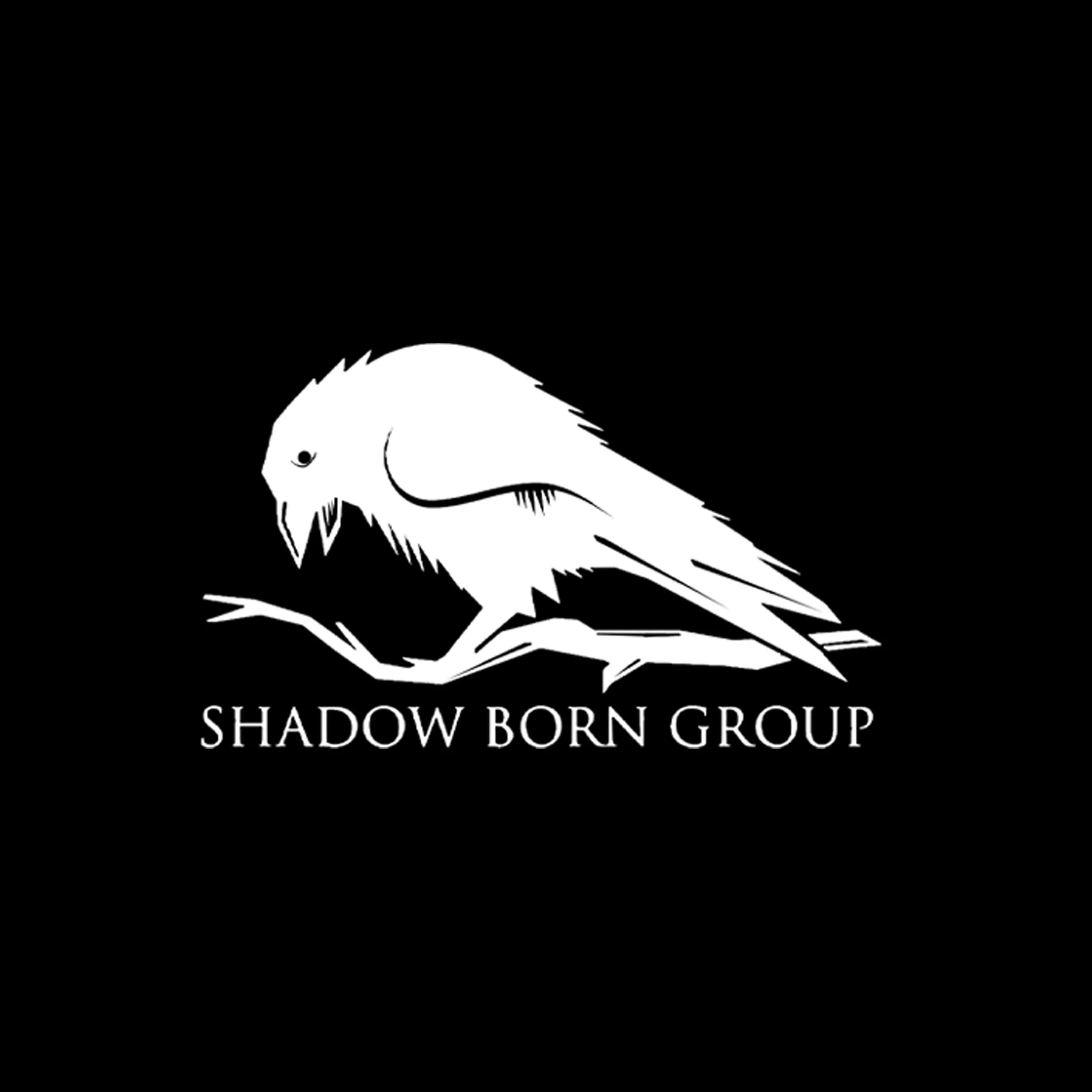 SHADOWBORNGROUP.jpg