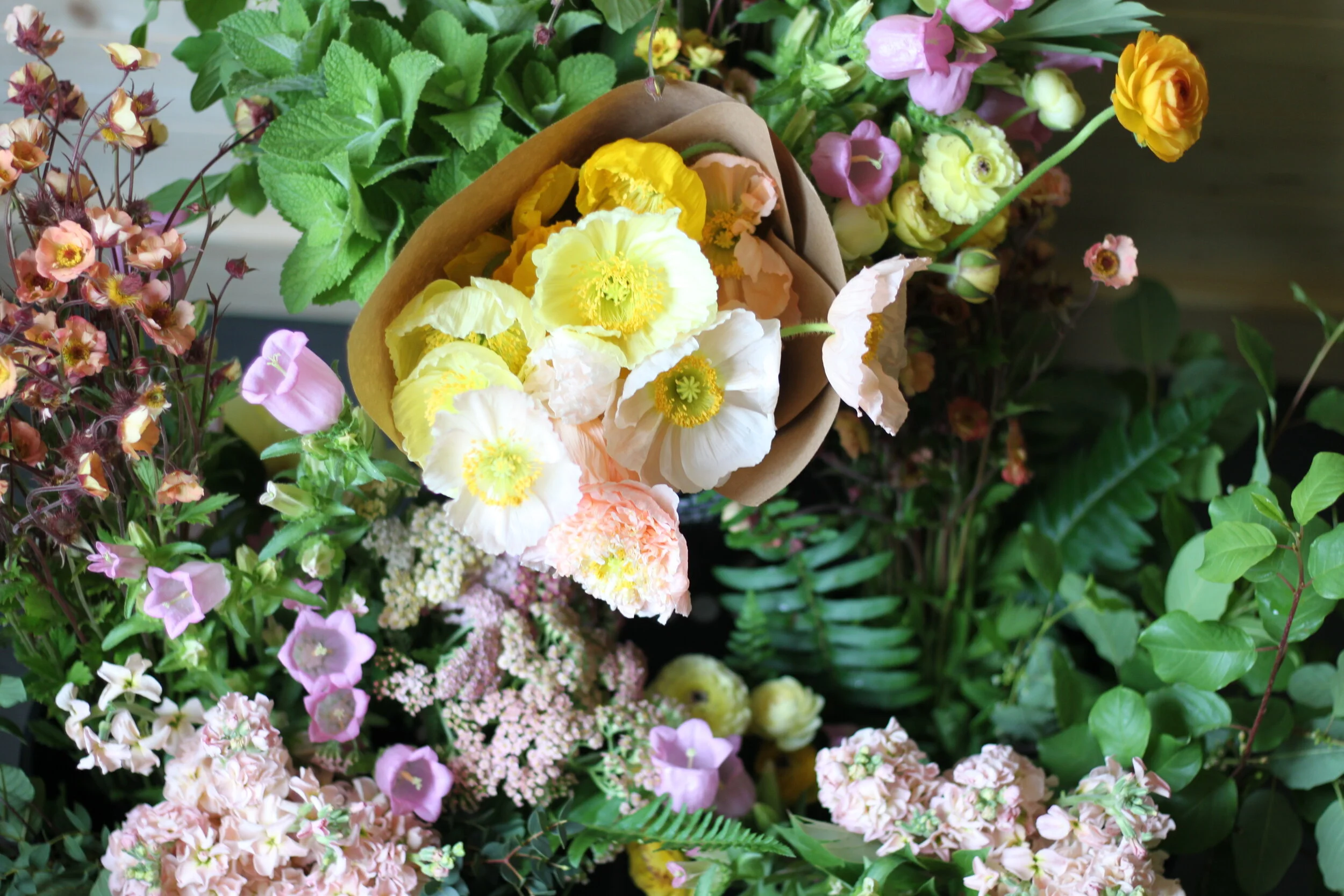 DIY buckets June3.JPG