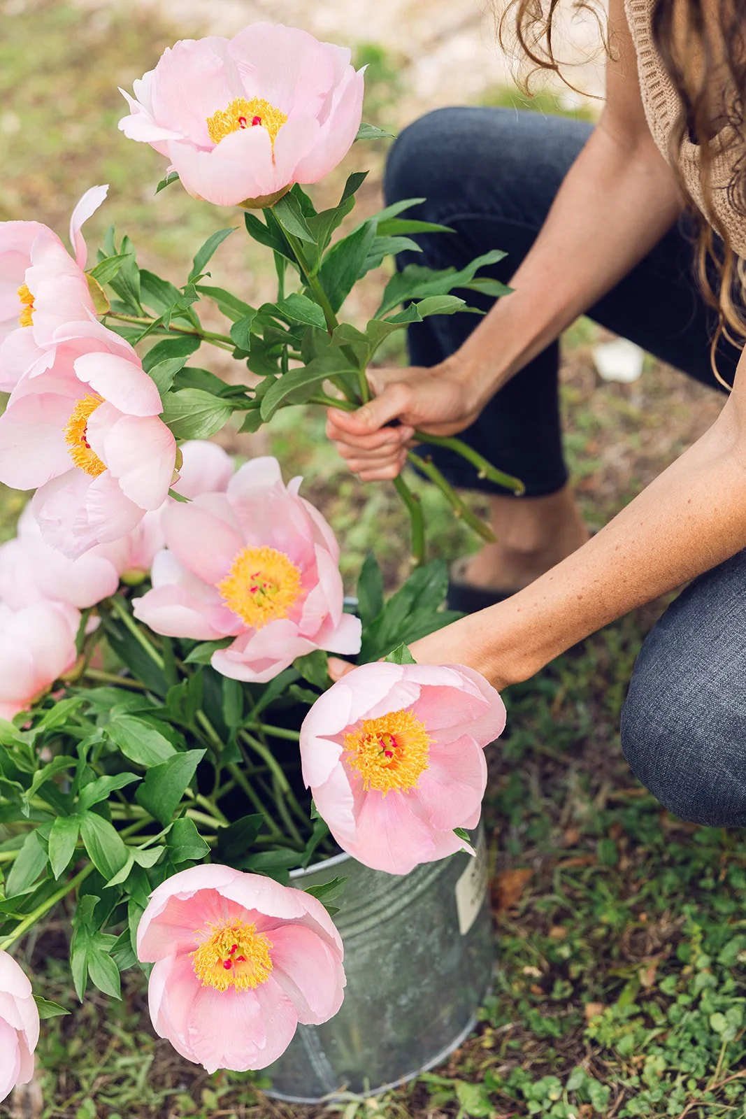 Peony Pop-up at The Humble Mug