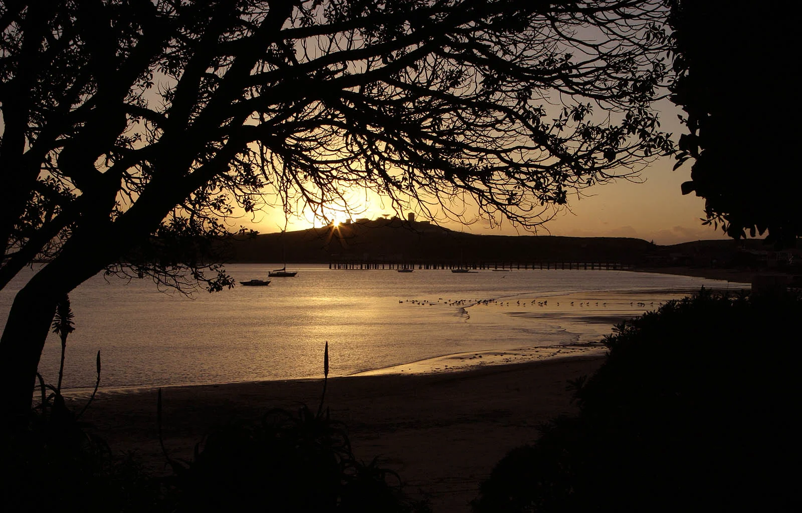 harbor_sunset.jpg