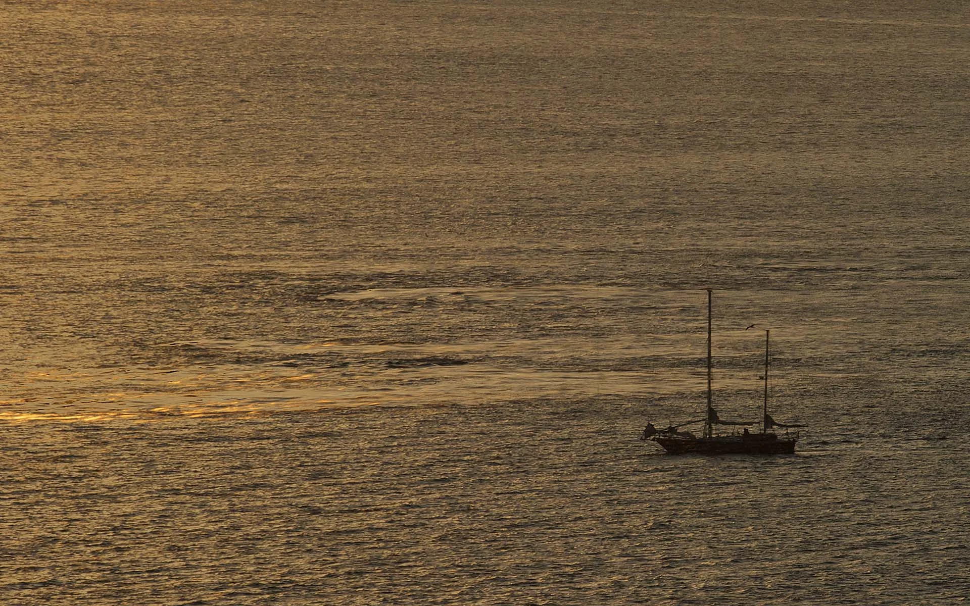 sunrise_sailboat.jpg