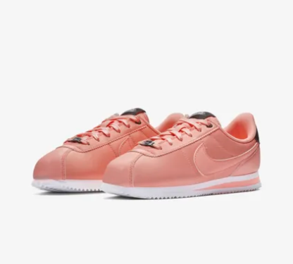 Screen Shot 2019-02-21 at 11.36.22 AM.png