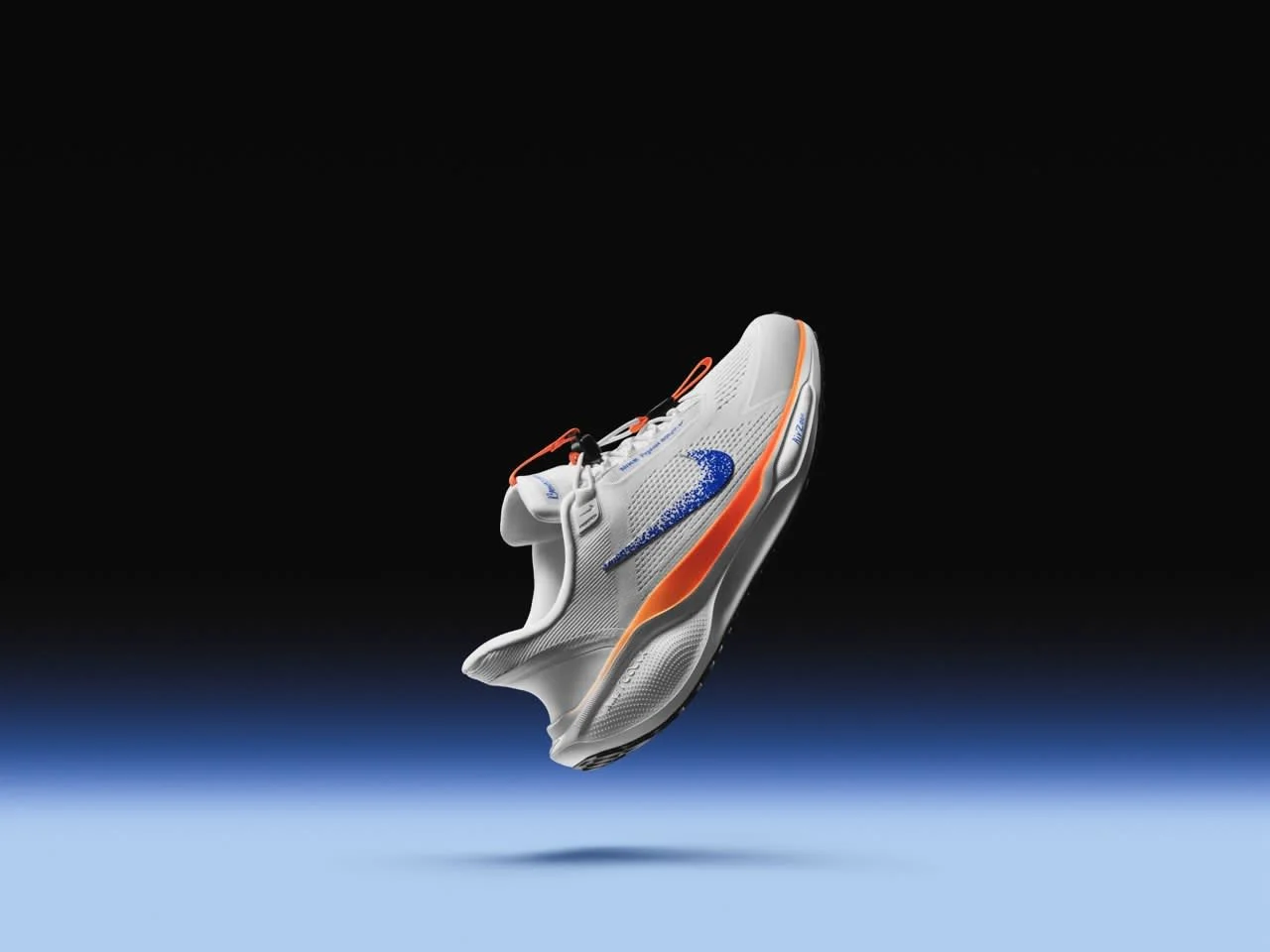 015_016-su24-pegasus-easyon.jpeg