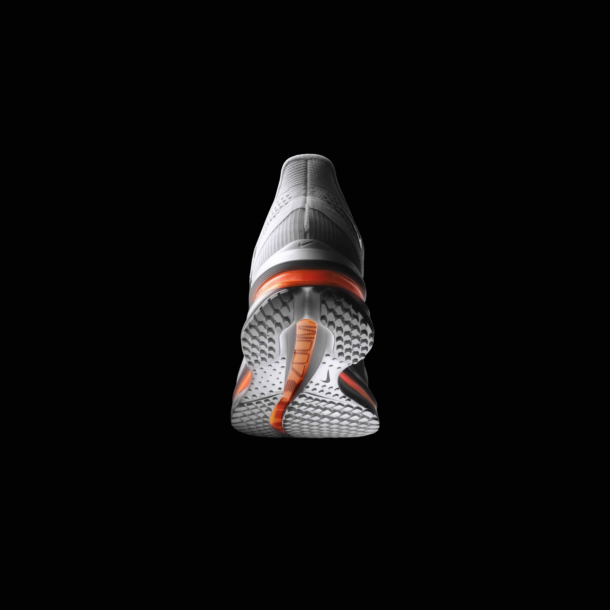 009_pegasus-premium-7.jpeg