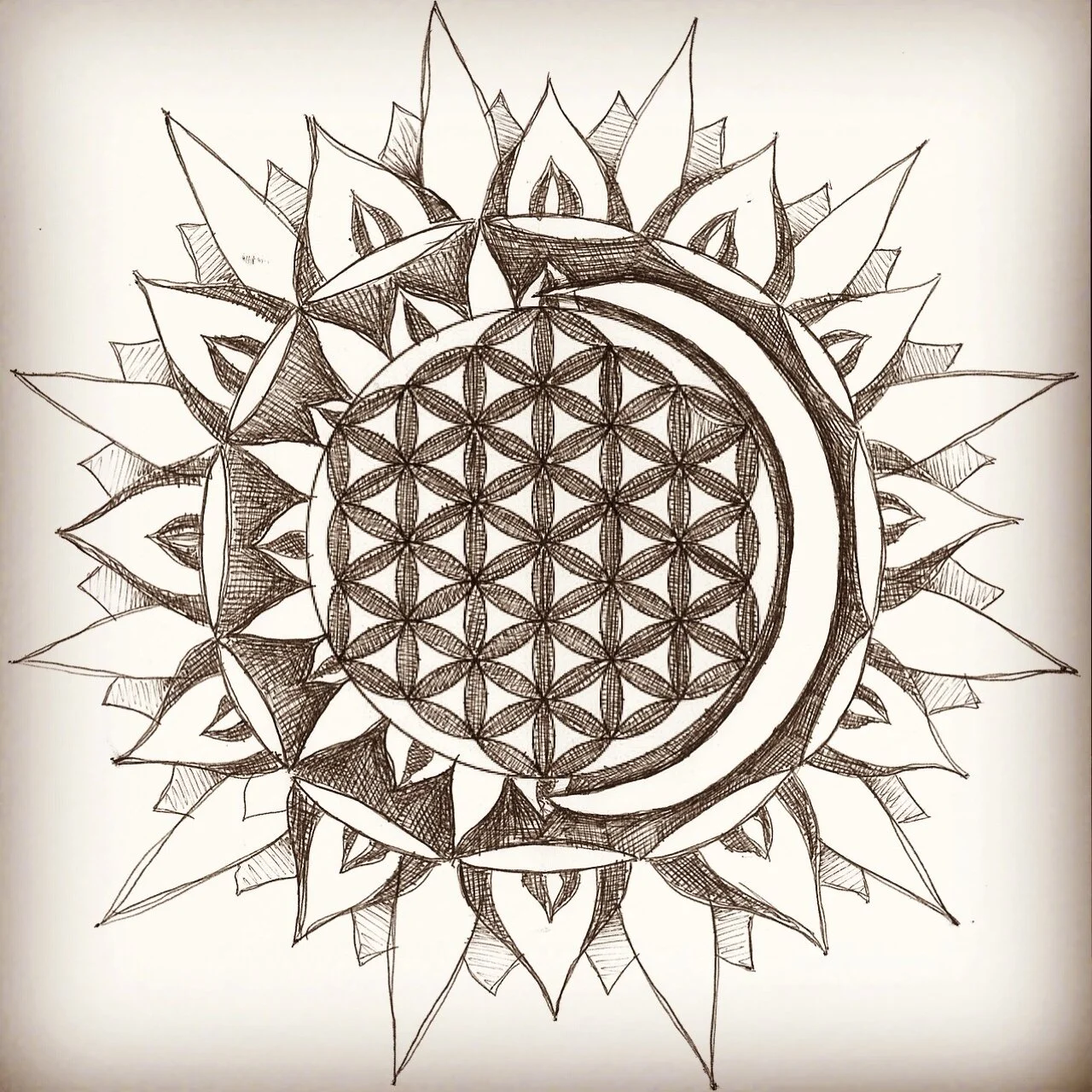 Sun(moon)flower/Seed of Life