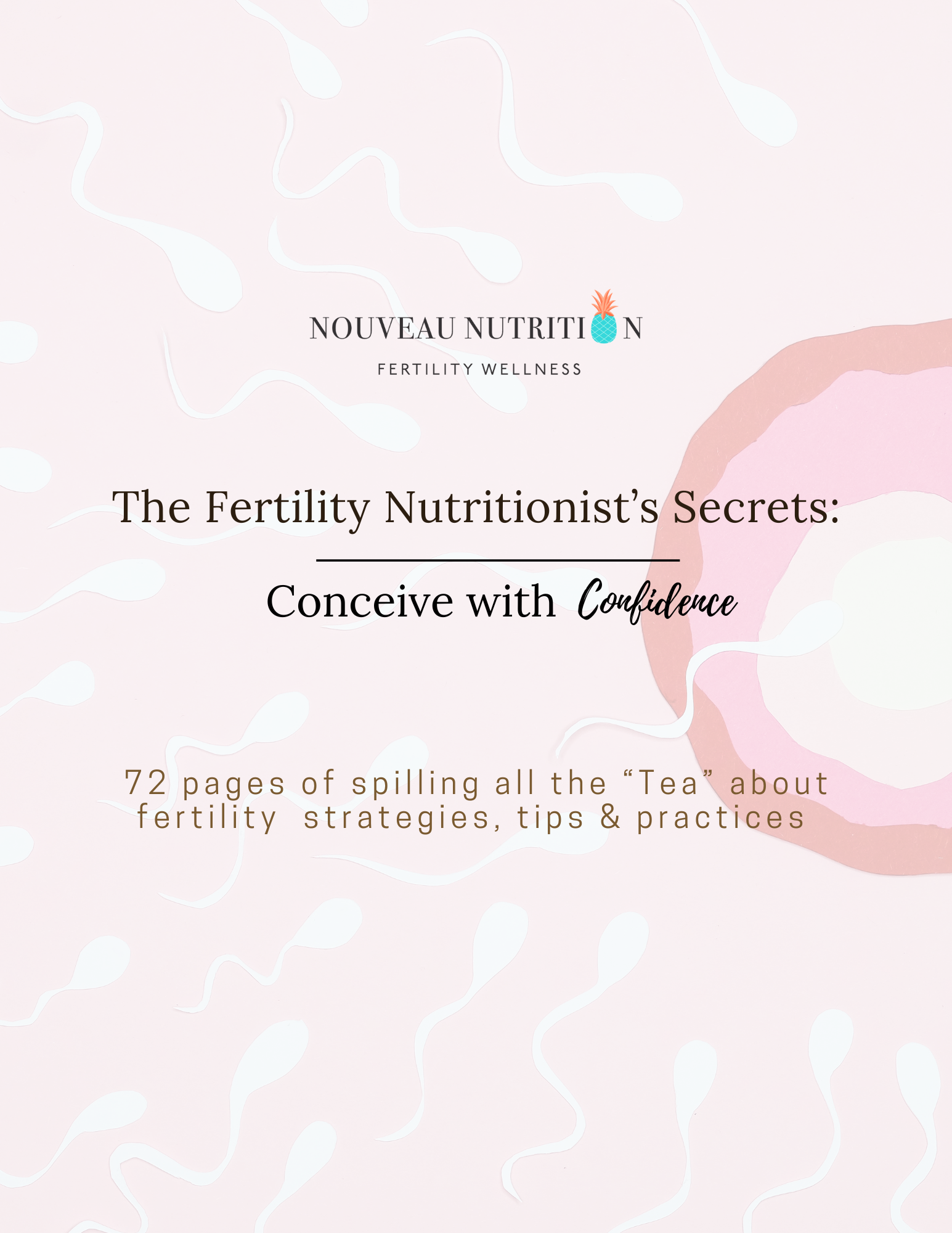 NNFW Conceive with Confidence-cover-edit.png
