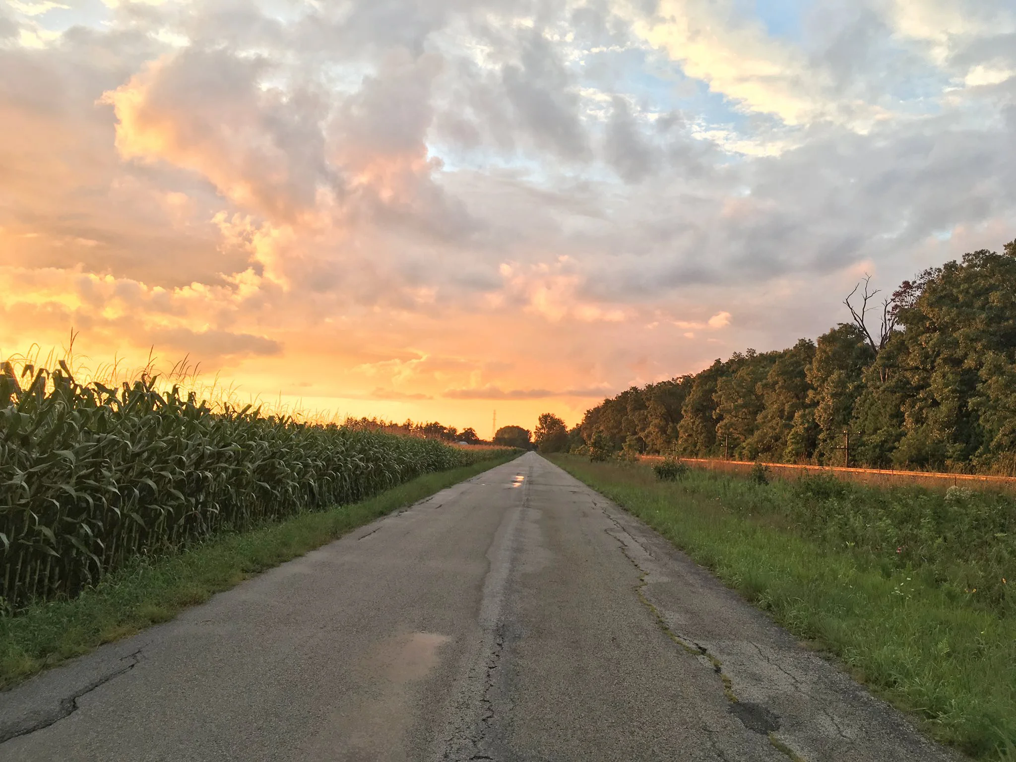 Photo credit: Sarah Origer