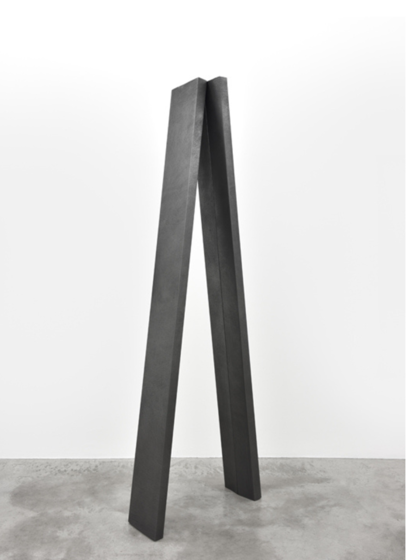 'Aventure de Lignes', Diogo Pimentão at FRAC Picardie