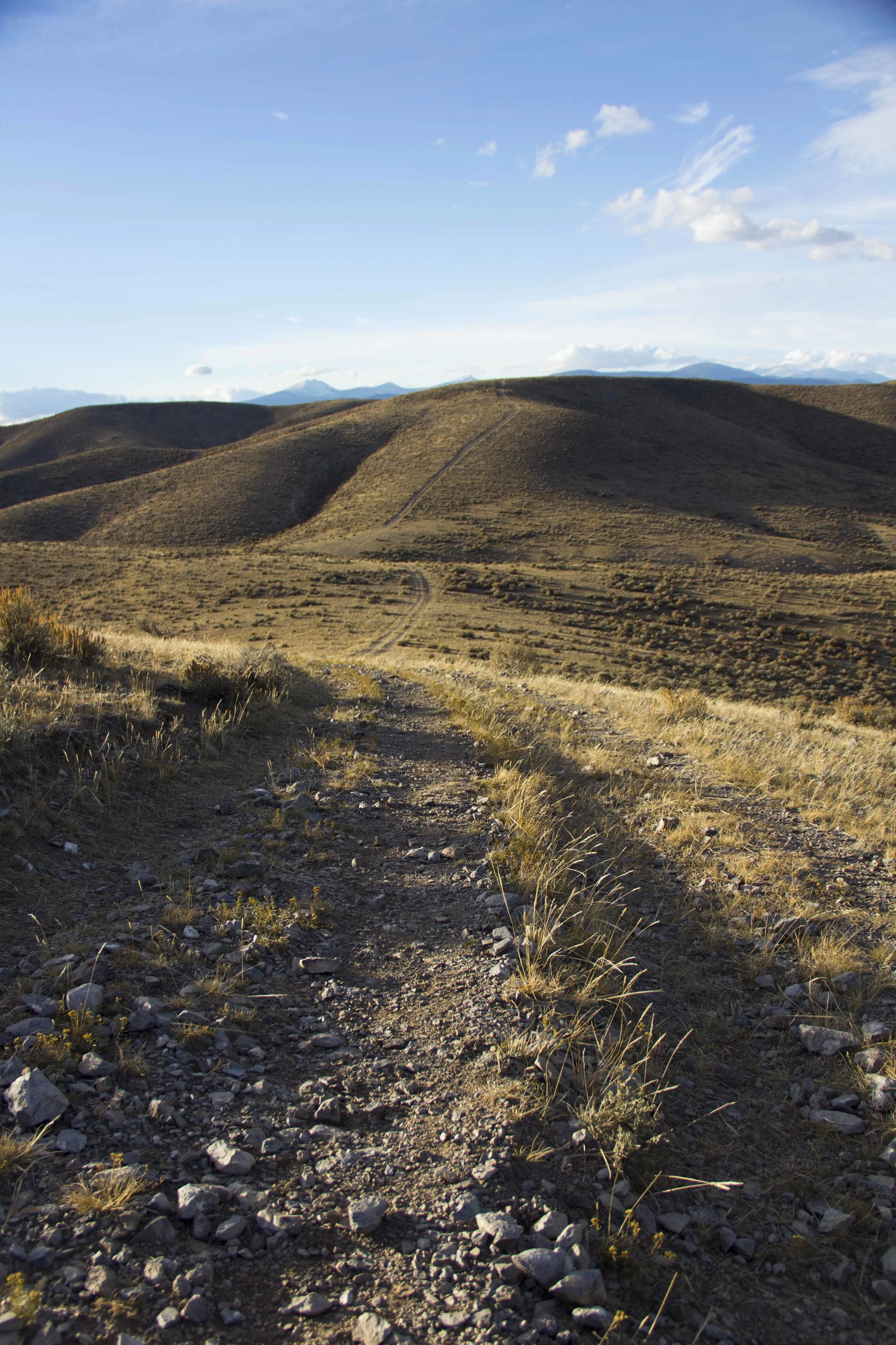 2nd Annual W Fun Run