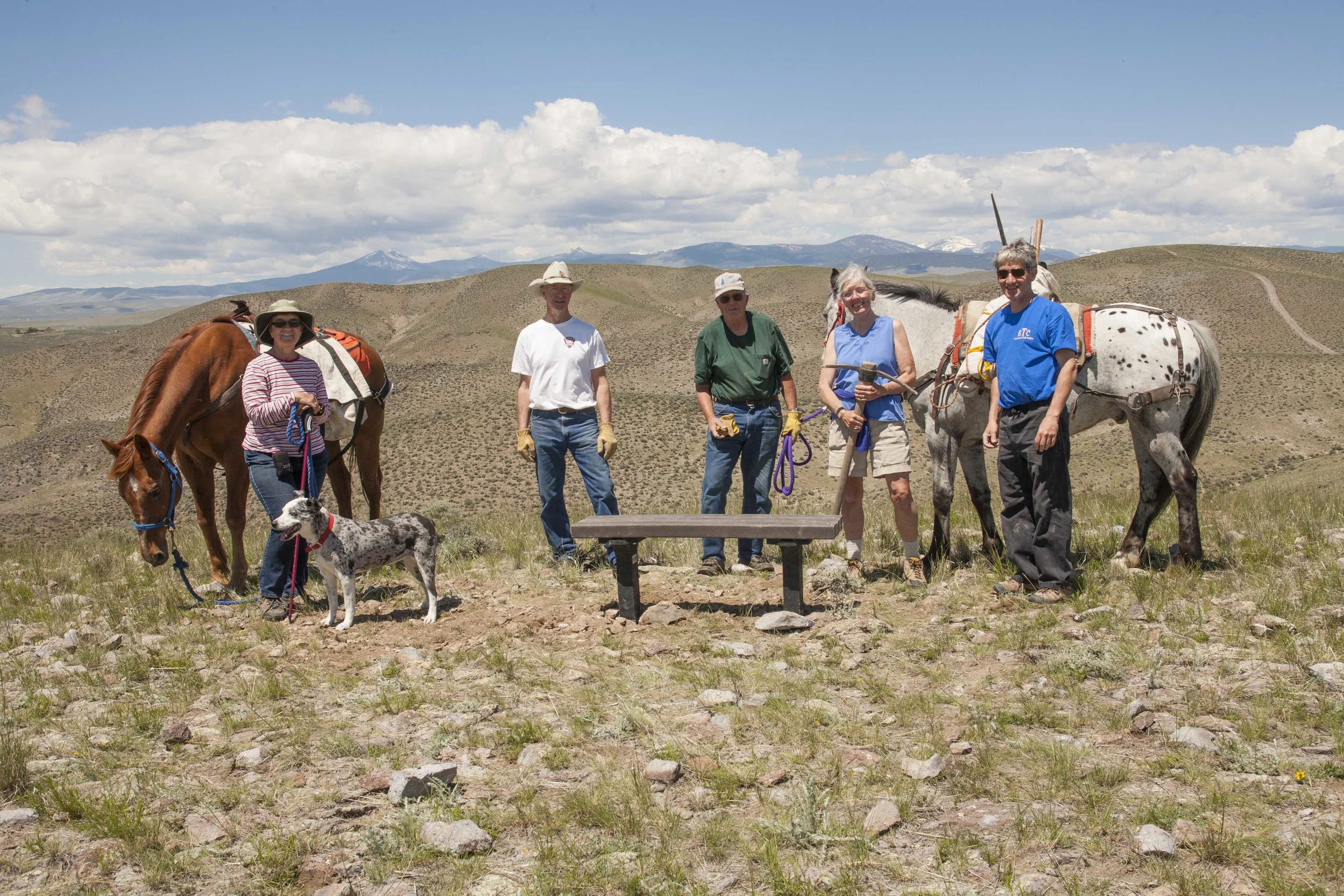 New Bench on Overlook Trail