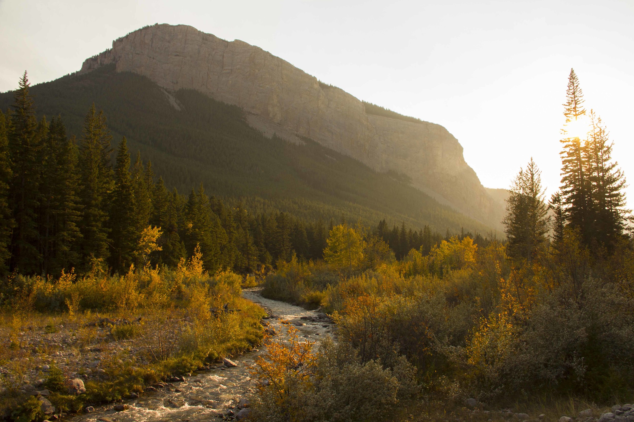 Wild & Scenic Film Festival