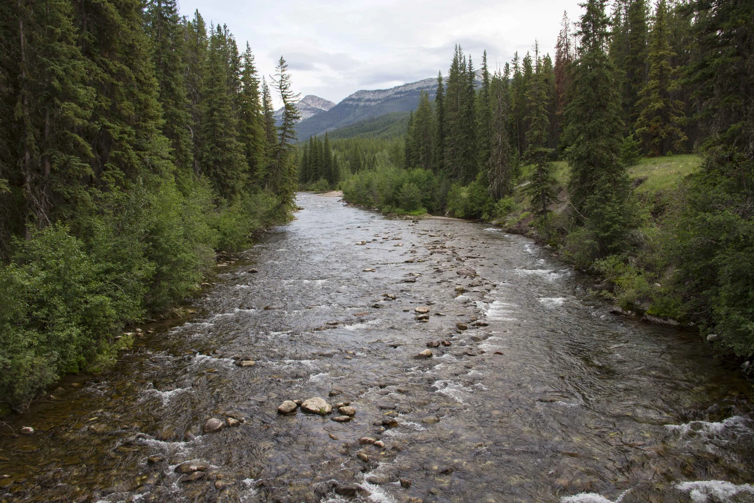 Wild and Scenic Film Festival Day Two Tomorrow!