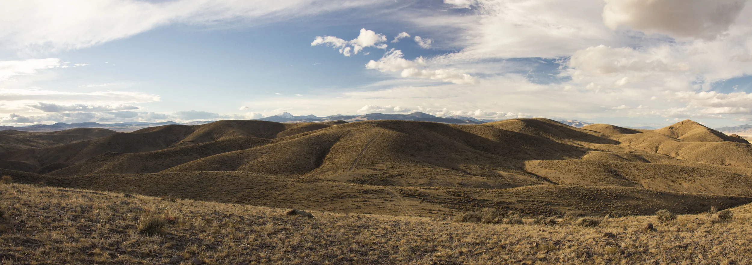 Montana Fish and Wildlife Conservation Trust Grant