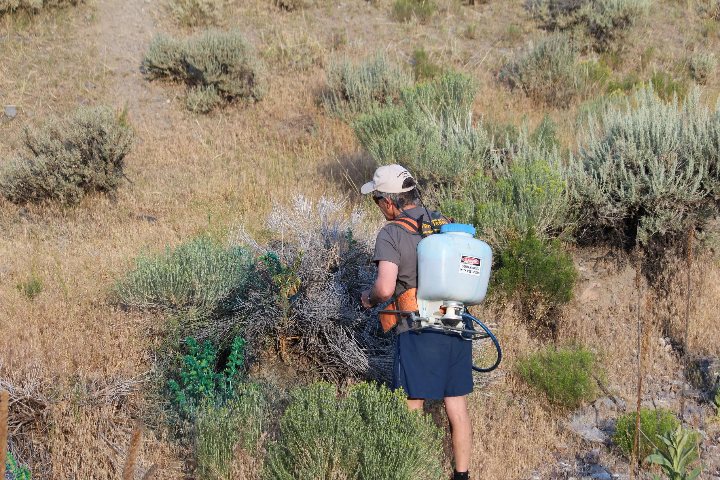 Wonderful Weed Pull! 