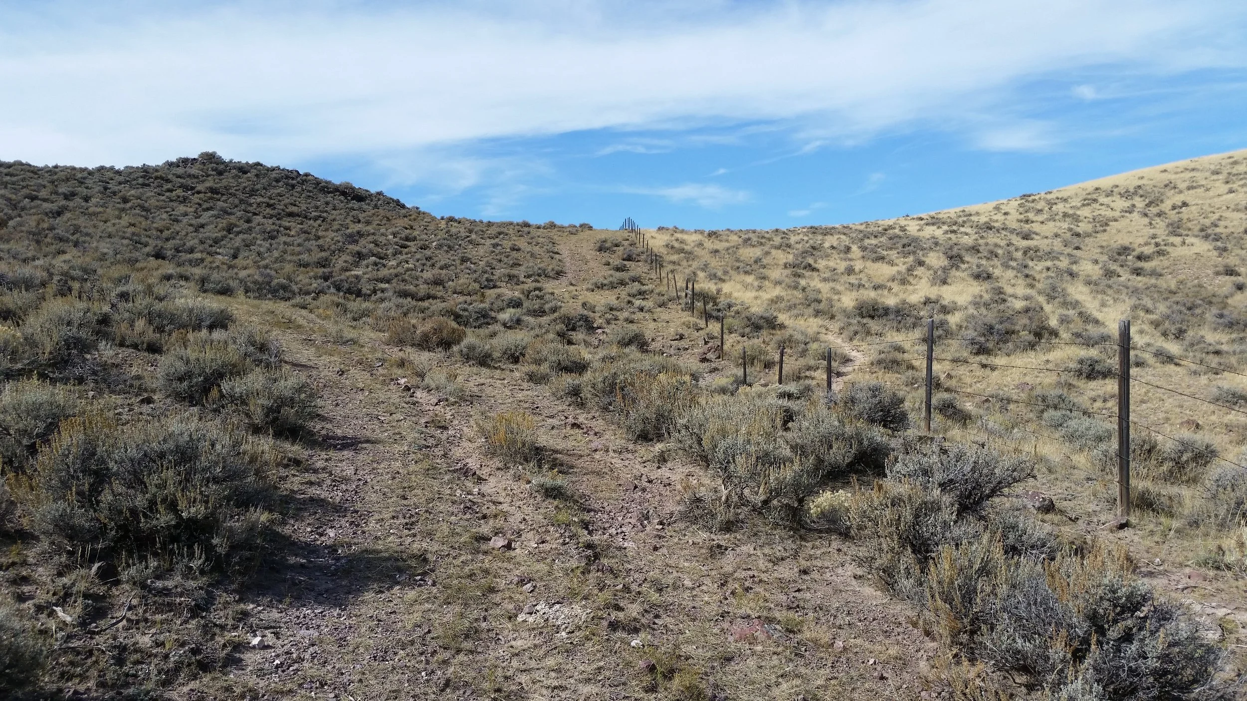 Thank you Montana Fish and Wildlife Conservation Trust!