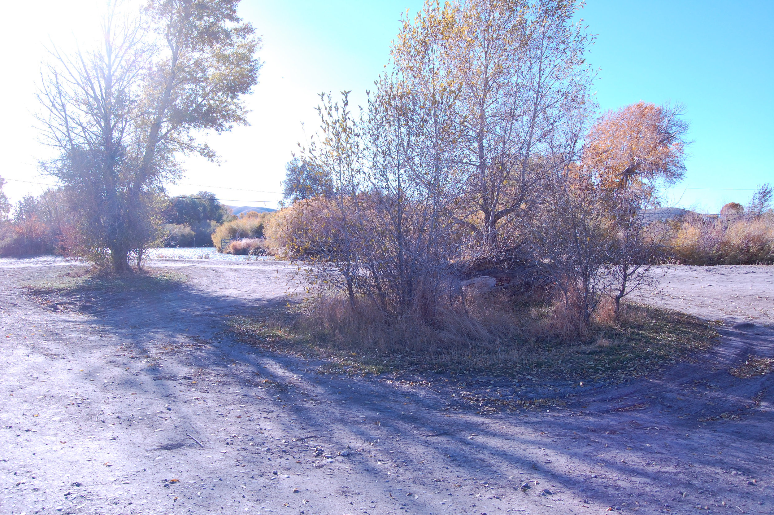 October16_LaknarSelwayPark_05.jpg