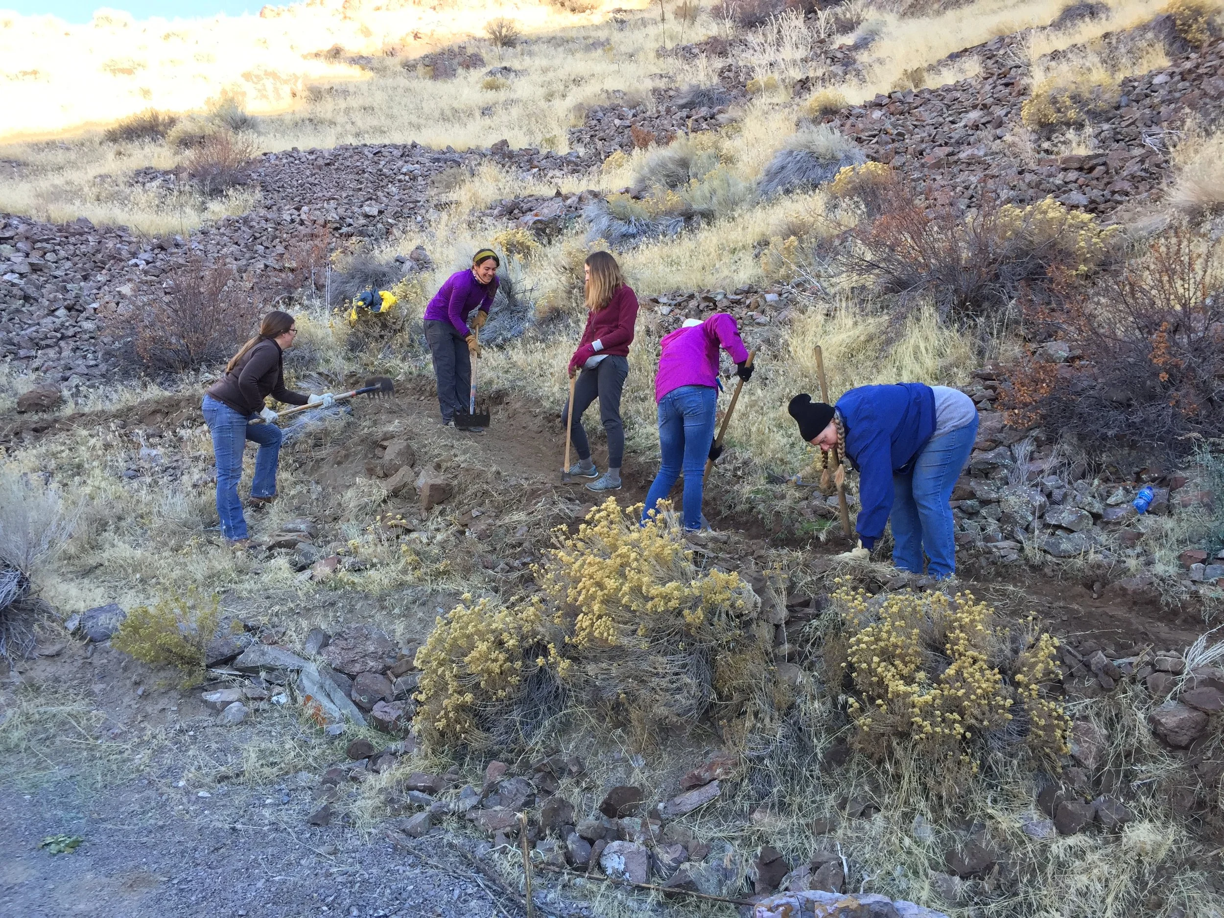Trail work day