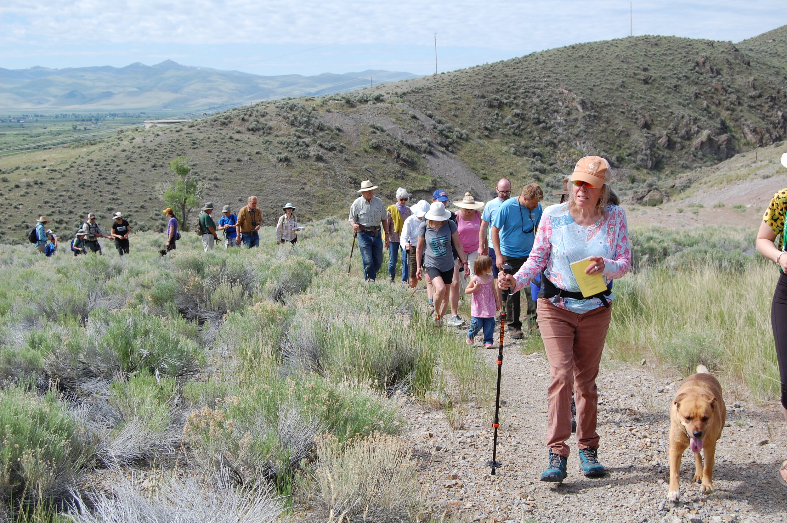 Wildflowers walk 2019_2.JPG