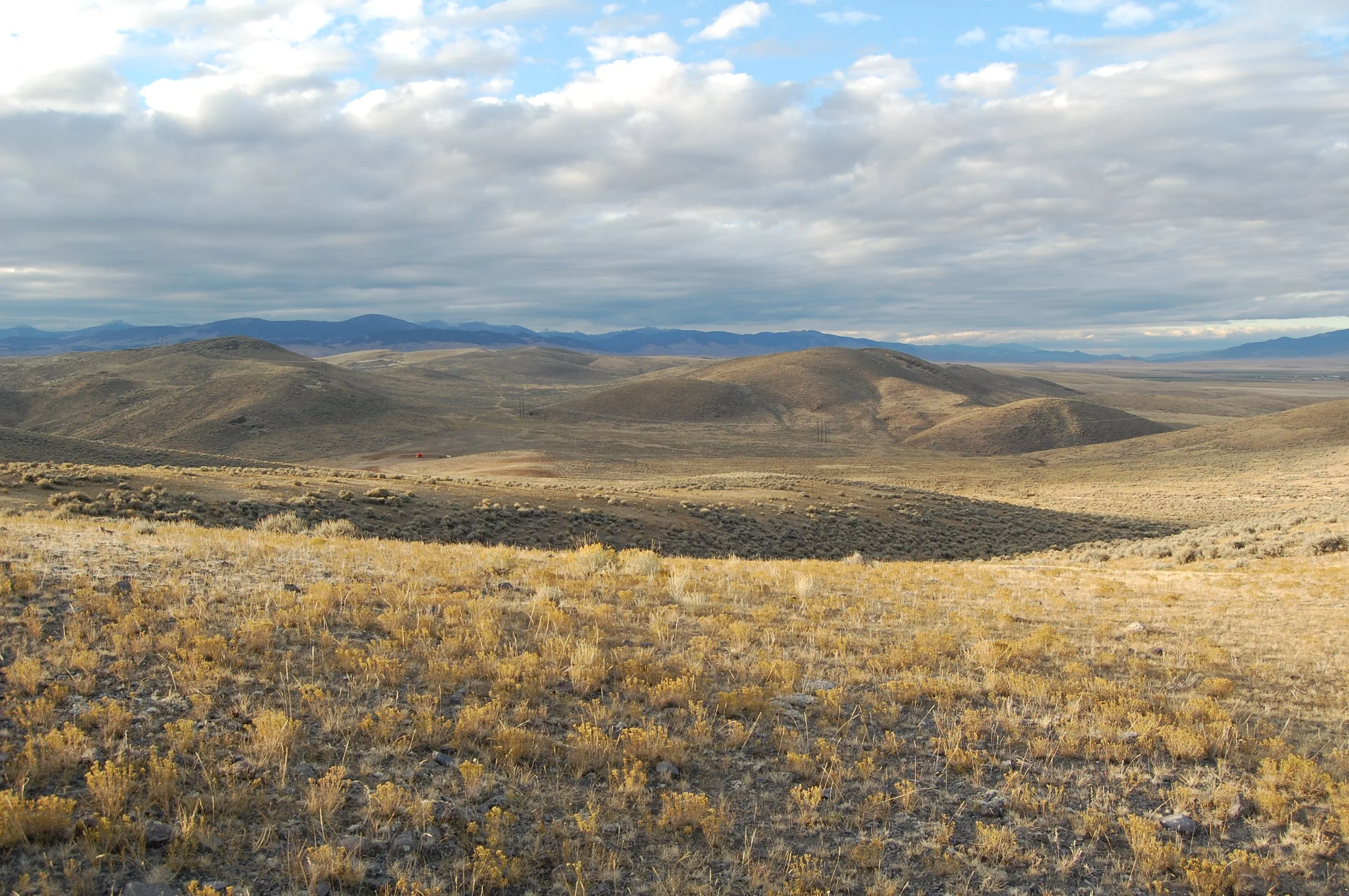 Leave No Trace principles