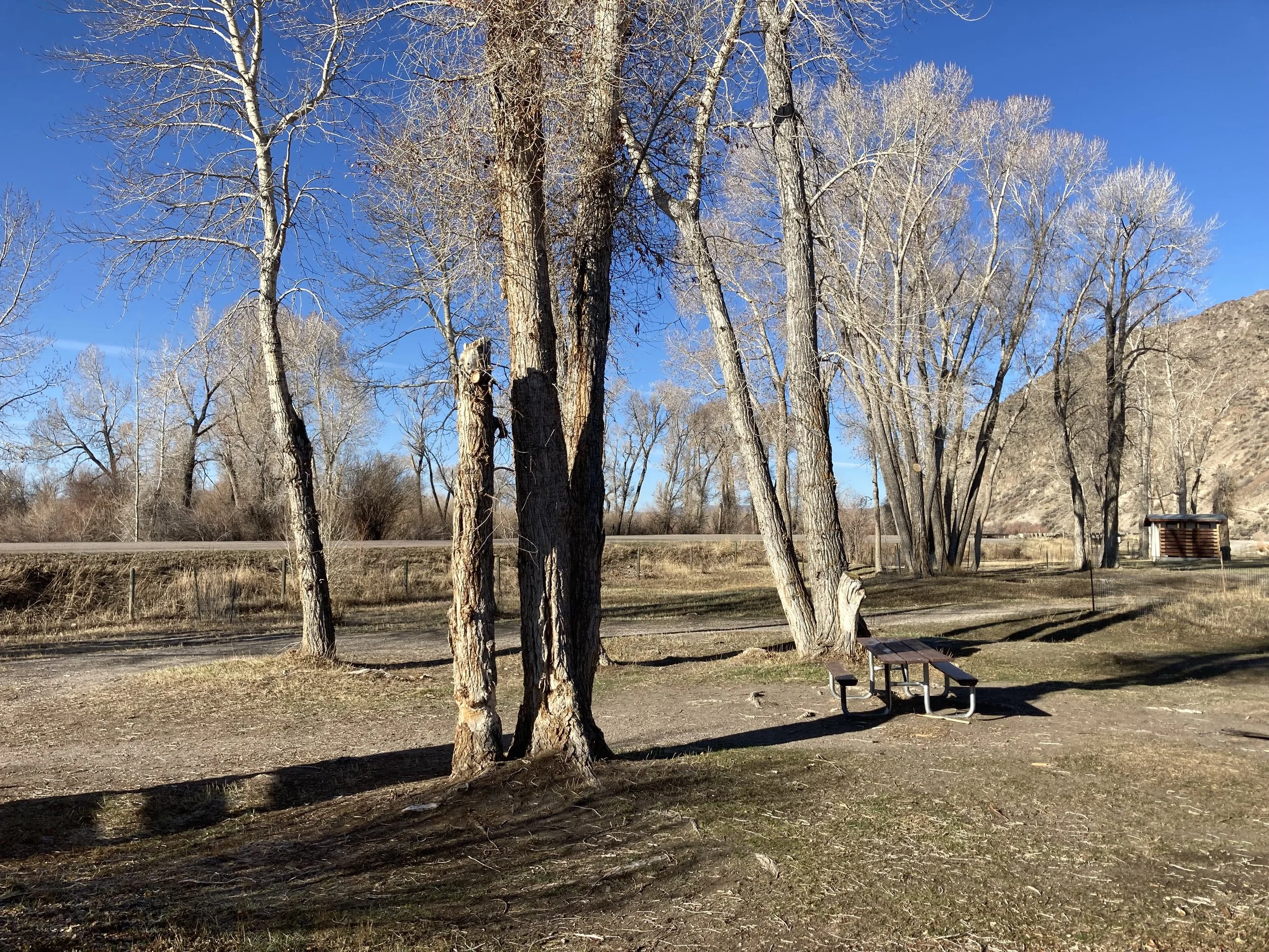 United Way of Dillon Supports Cornell Park Improvements