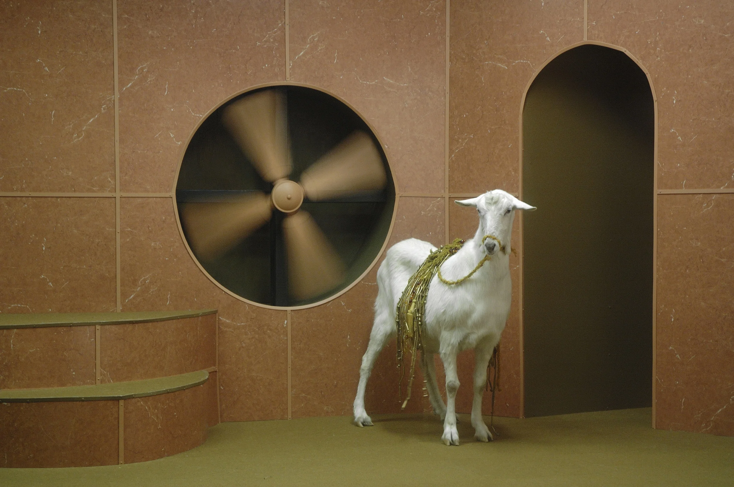 Image: Hayden Fowler, Goat Odyssey iii, film still, 2006 / Image © Hayden Fowler