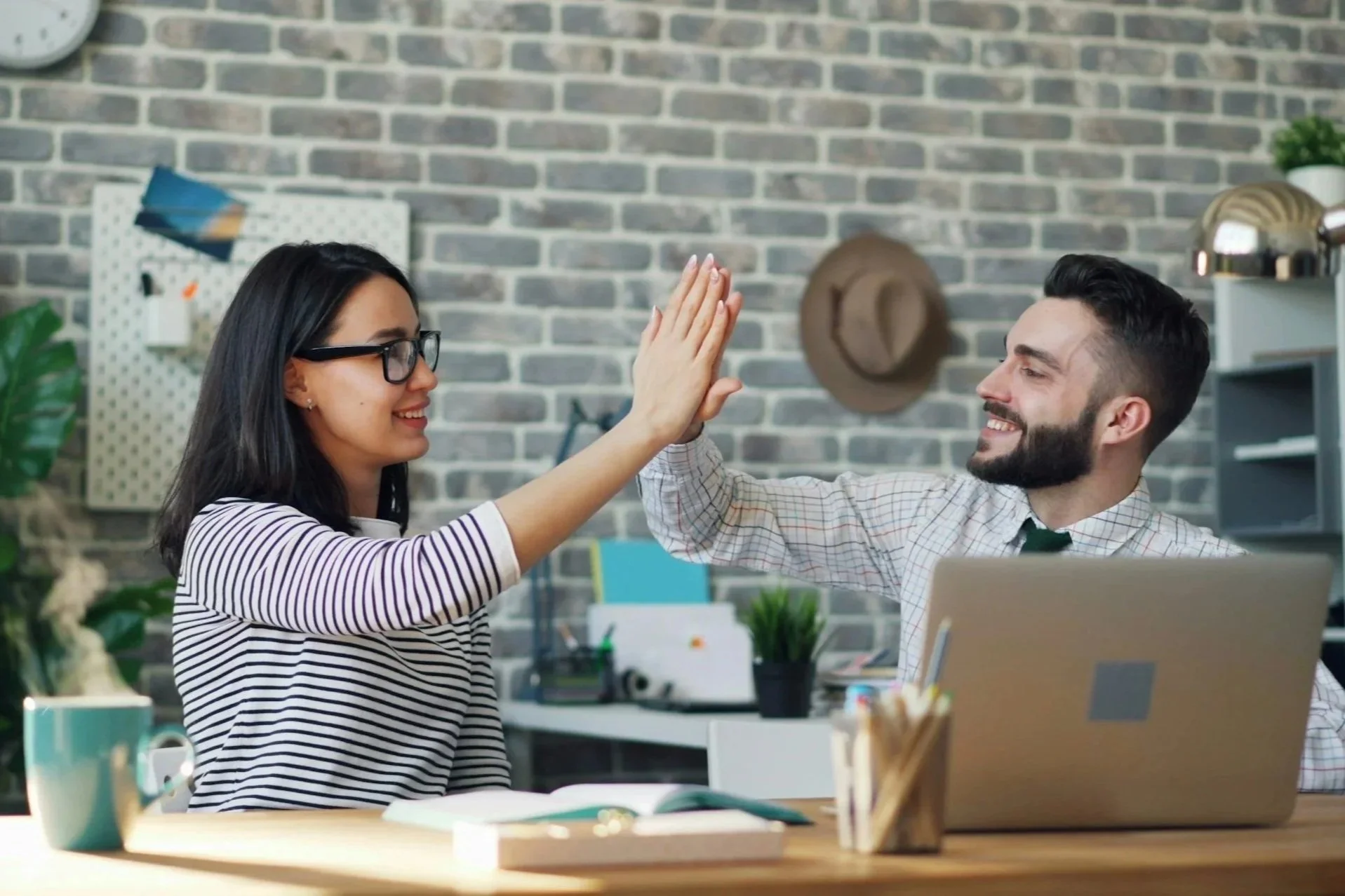 Professional Package