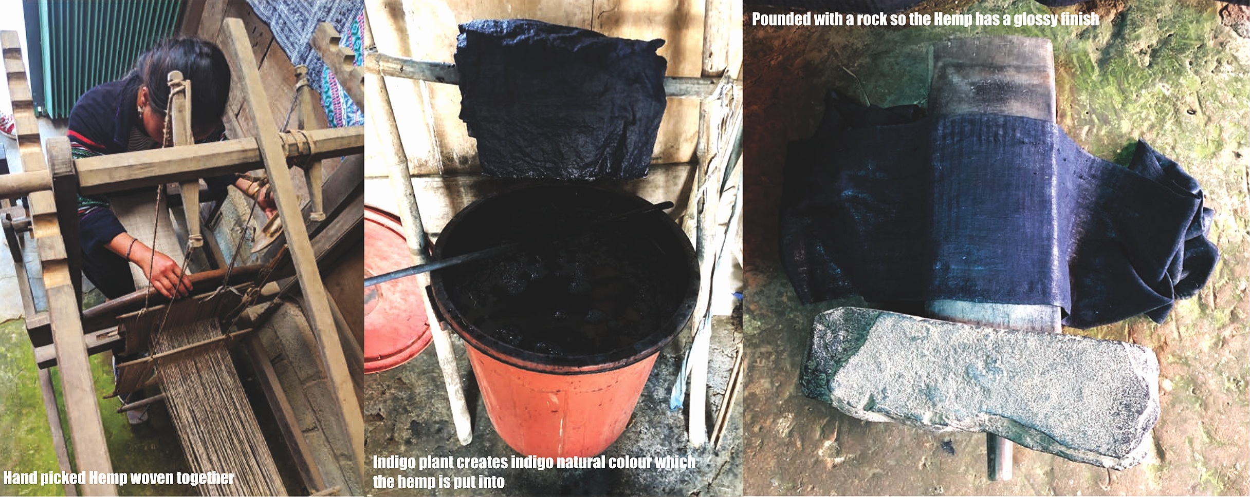 The process of creating Organic Hemp