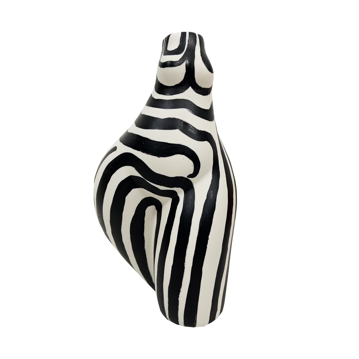 Hips dont lie zebra vase.jpg
