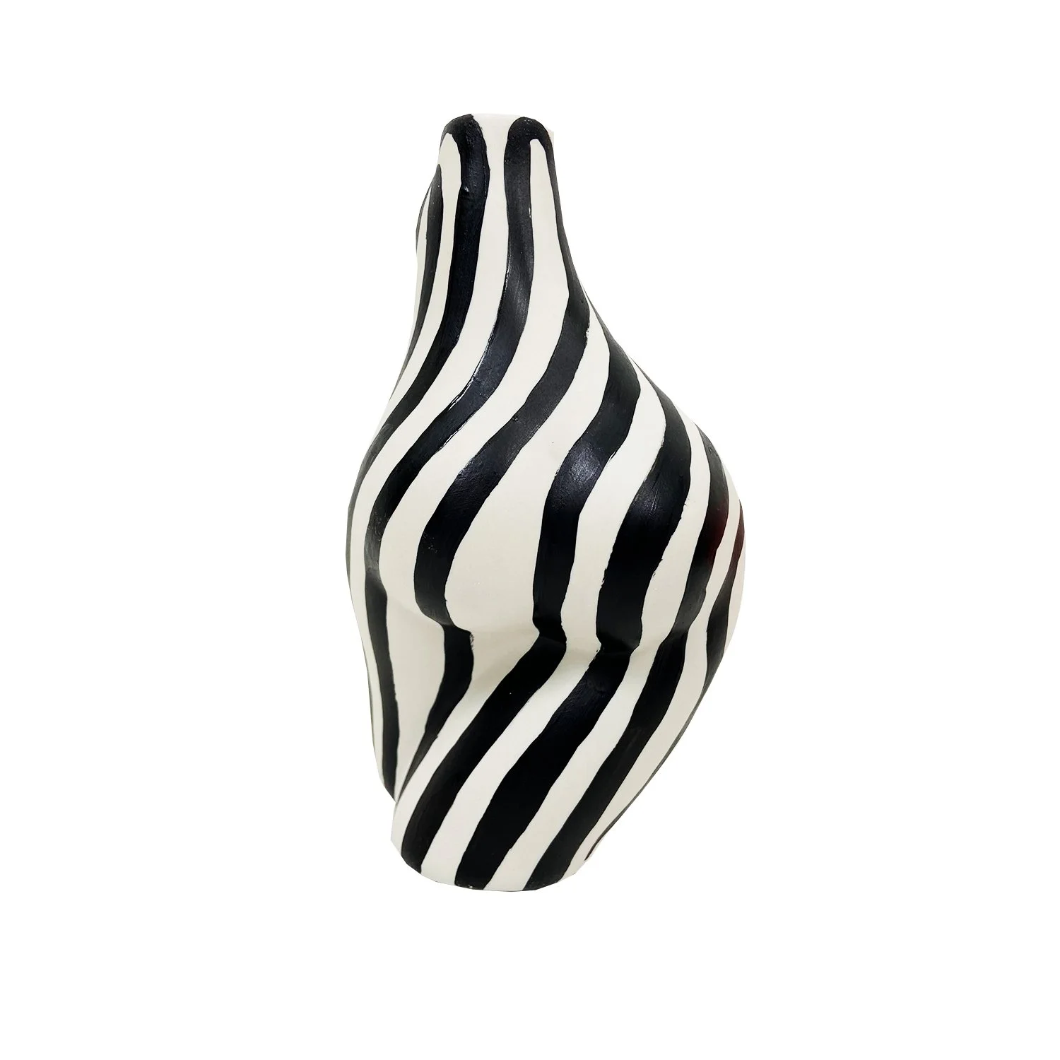 Hips dont lie zebra vase3.jpg