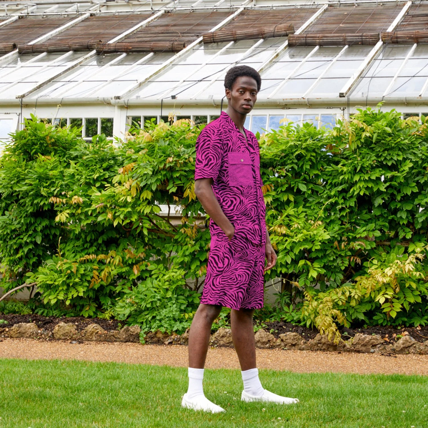 Pink Zebra Short4.jpg