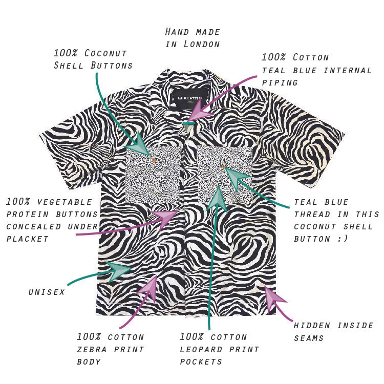 Zebra IG Post-01.jpg