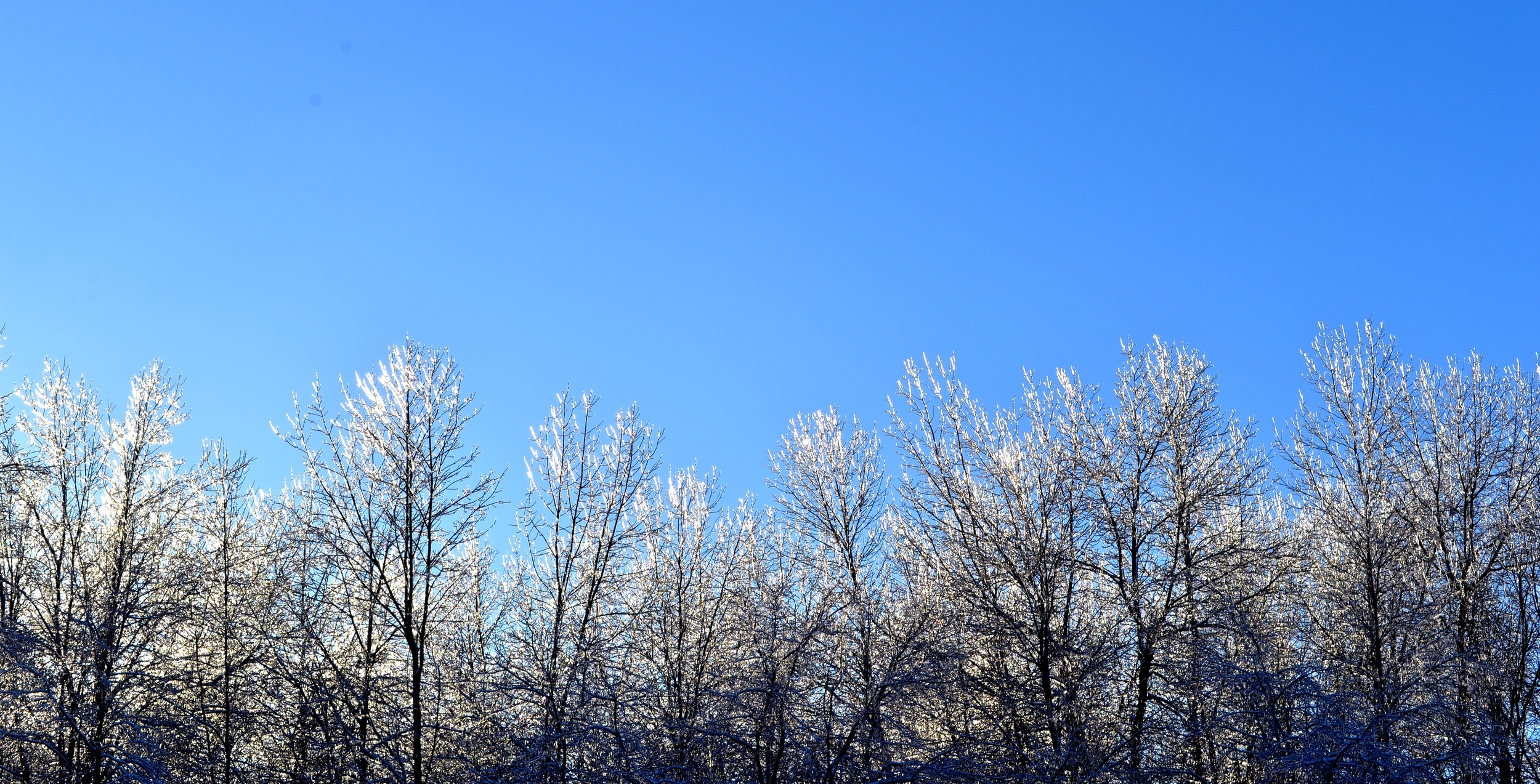 DSC_8058.JPG