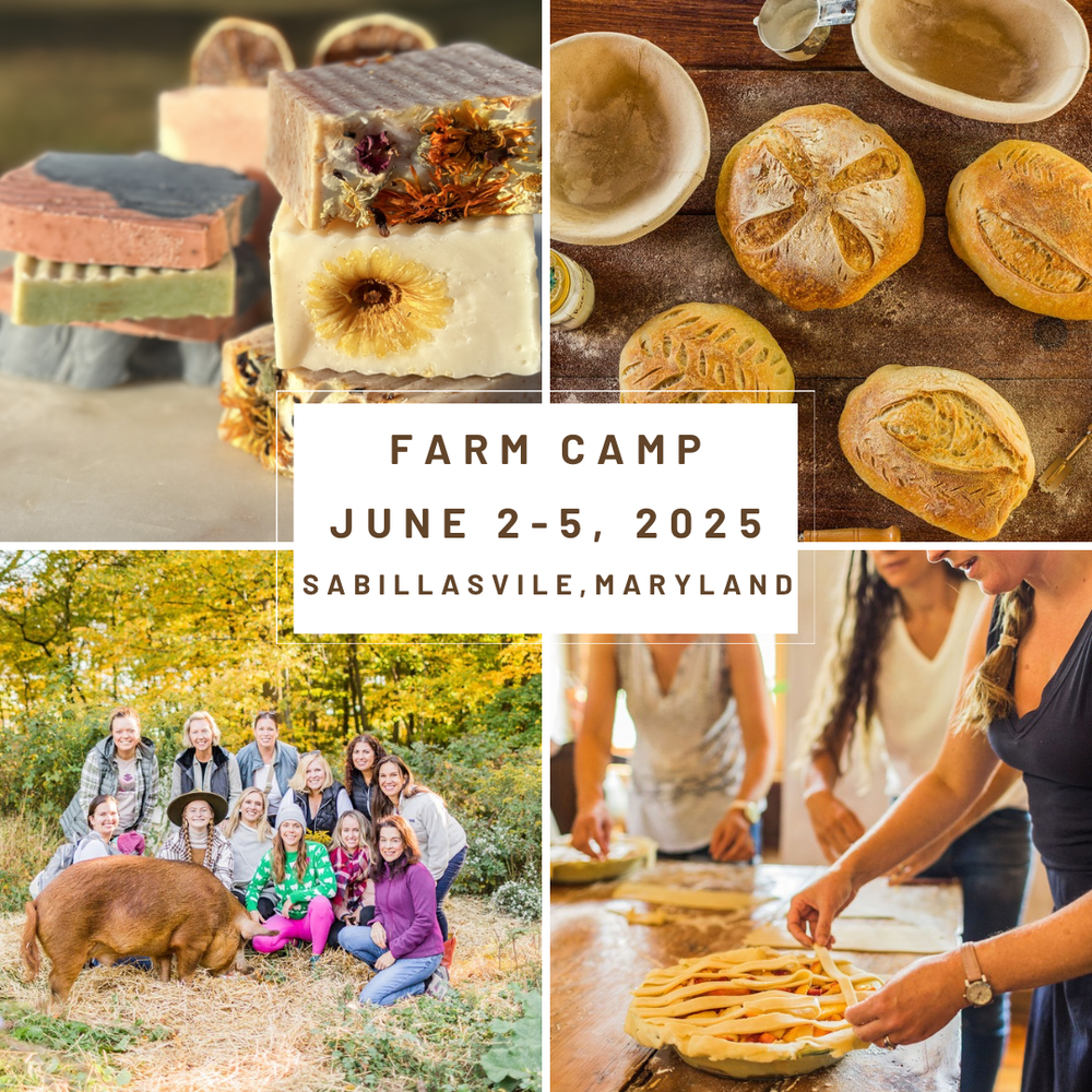 Farm Camp June 2025