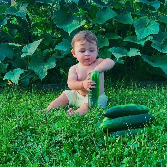 Today we&rsquo;re moving dirt and sowing our spring seeds. This is when our winter day dreaming of giant bountiful gardens becomes more real and before we know it we will have more seedlings than garden space (after last summer we made a promise to o