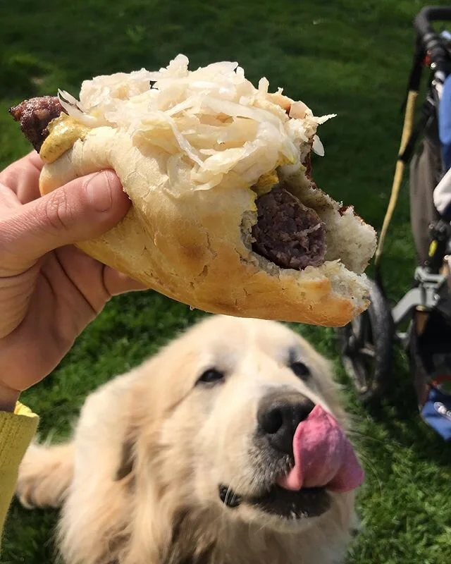 This sums up our day. A happy pup, sunshine and fresh brats on homemade buns and sauerkraut. We&rsquo;ll take many more of these, please. #woodlandpork #growyourown #bratwursts #frederickmd #greatpyrenees #mountainraisedmeat #pork