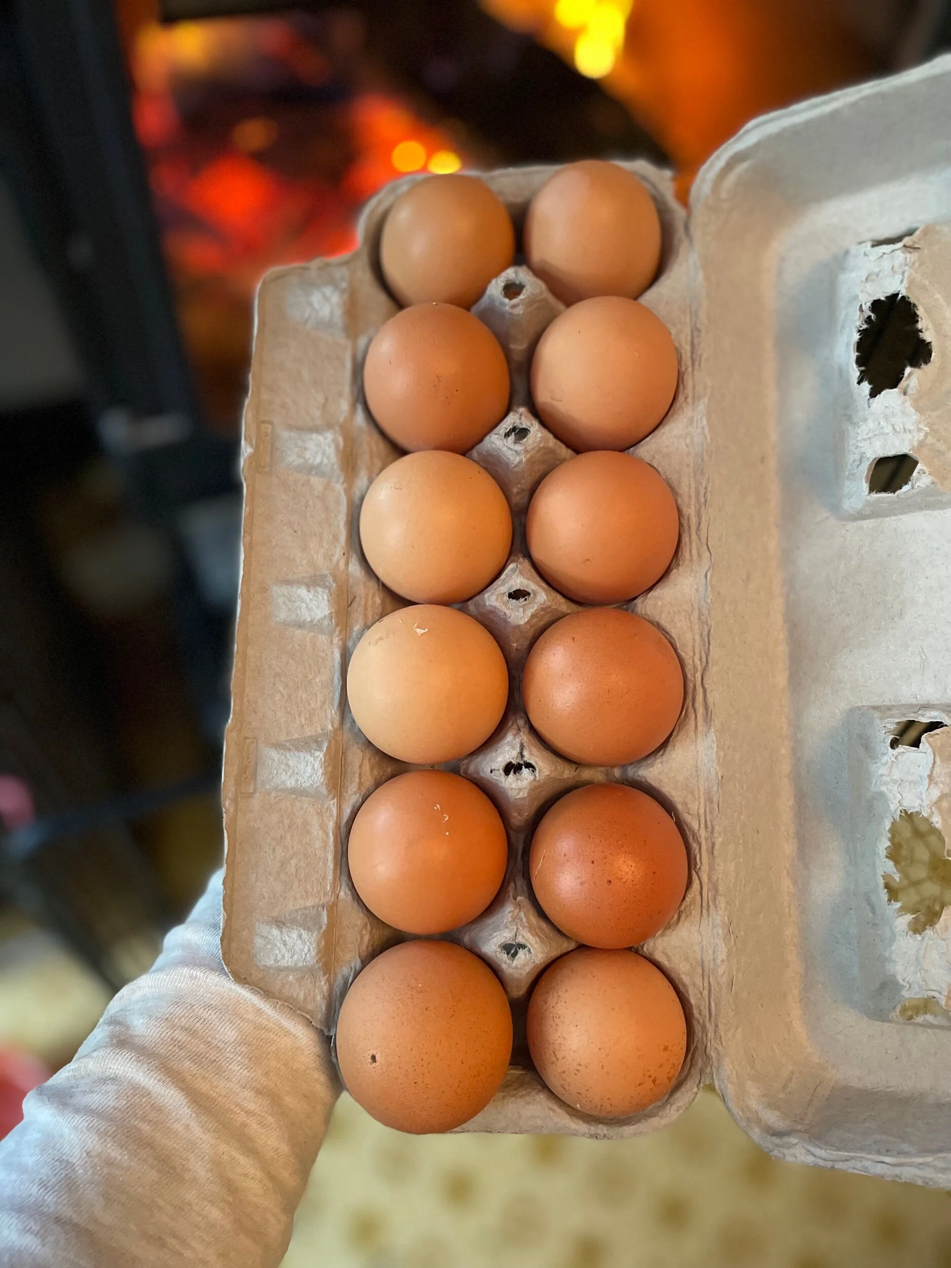 65F95C05-4C53-4860-B8B9-8042DDF3E88F