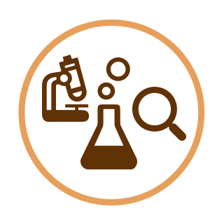 2. Research