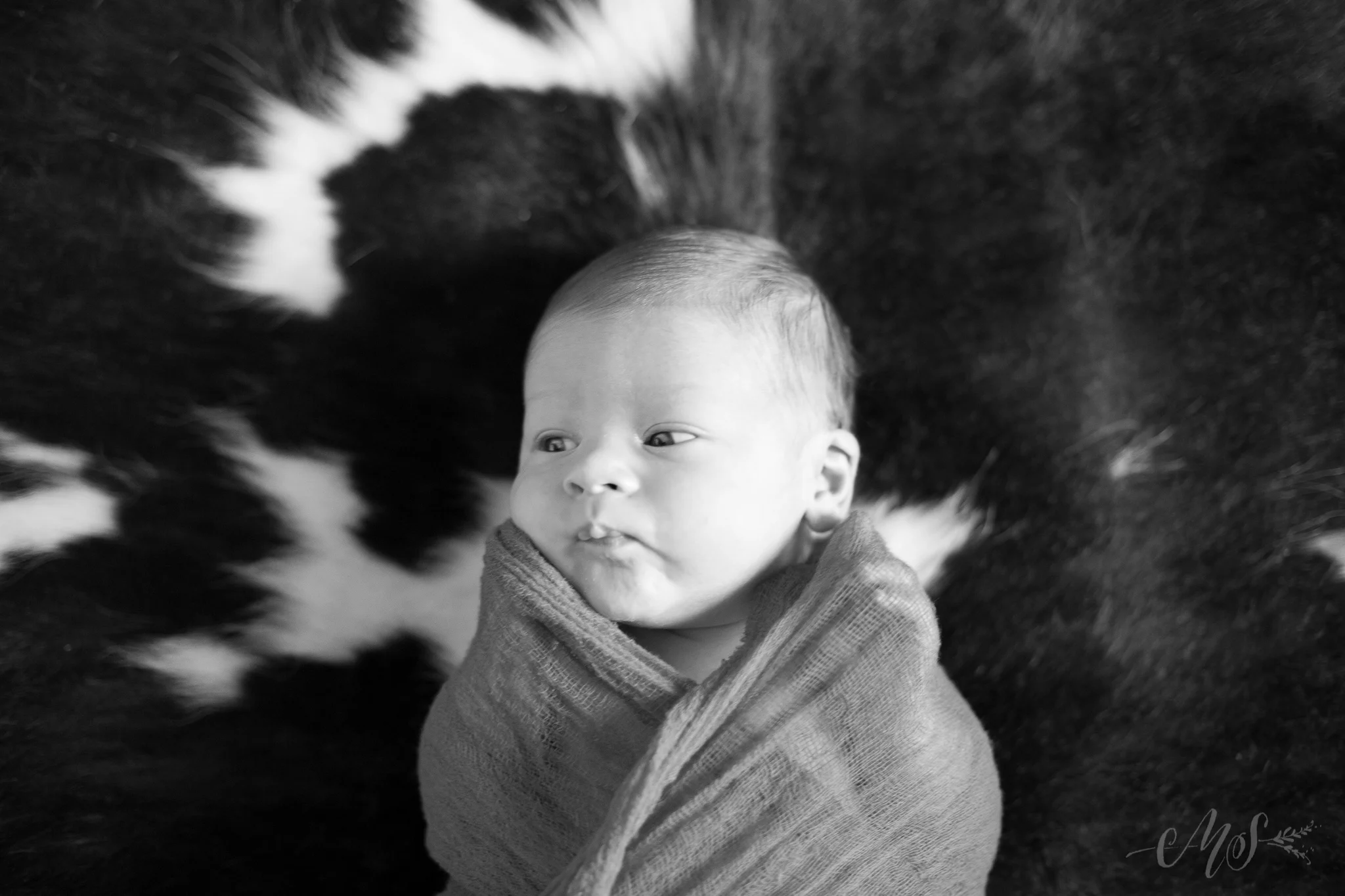 newborn_jackson wold_october2014-3.jpg