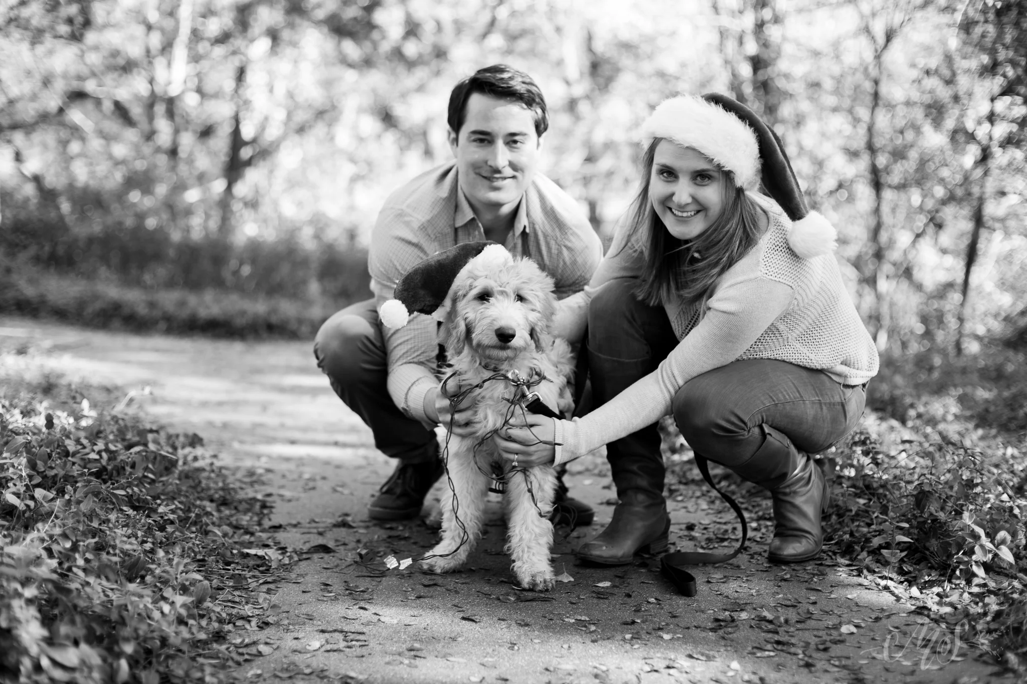 mizutowicz_sneak peek_november2014-4.jpg