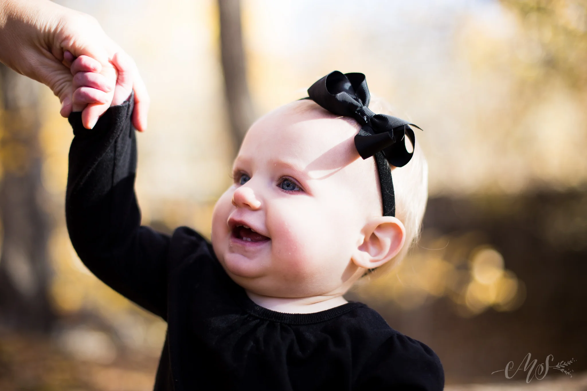 williams family_november2014-4.jpg