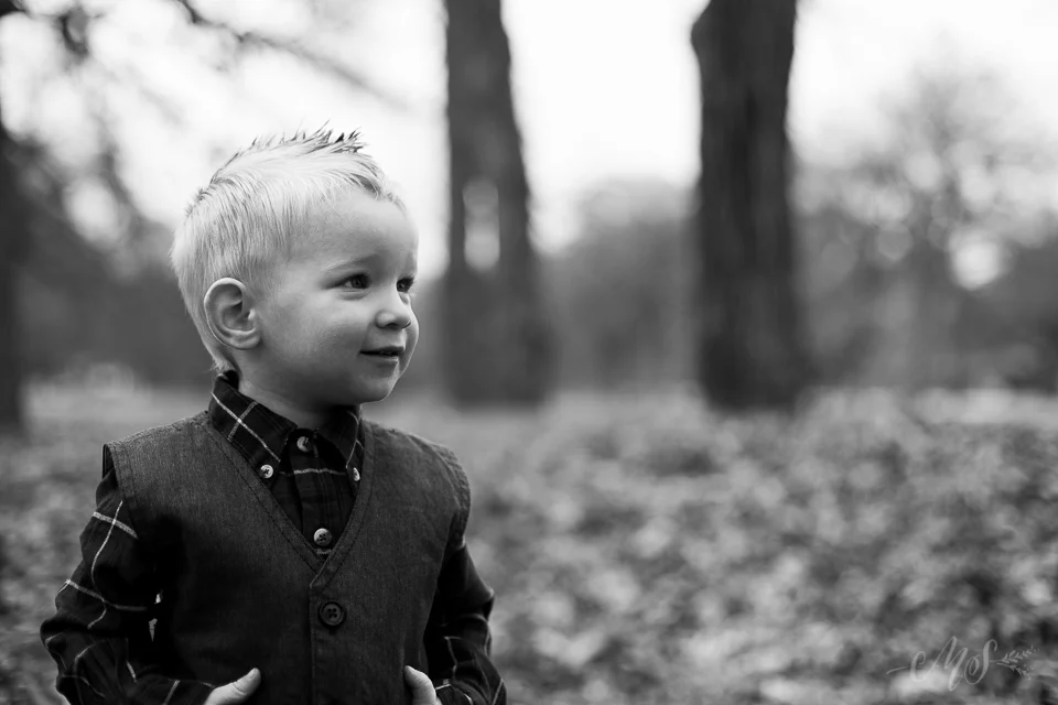mini_pelt family_december2014-4.jpg