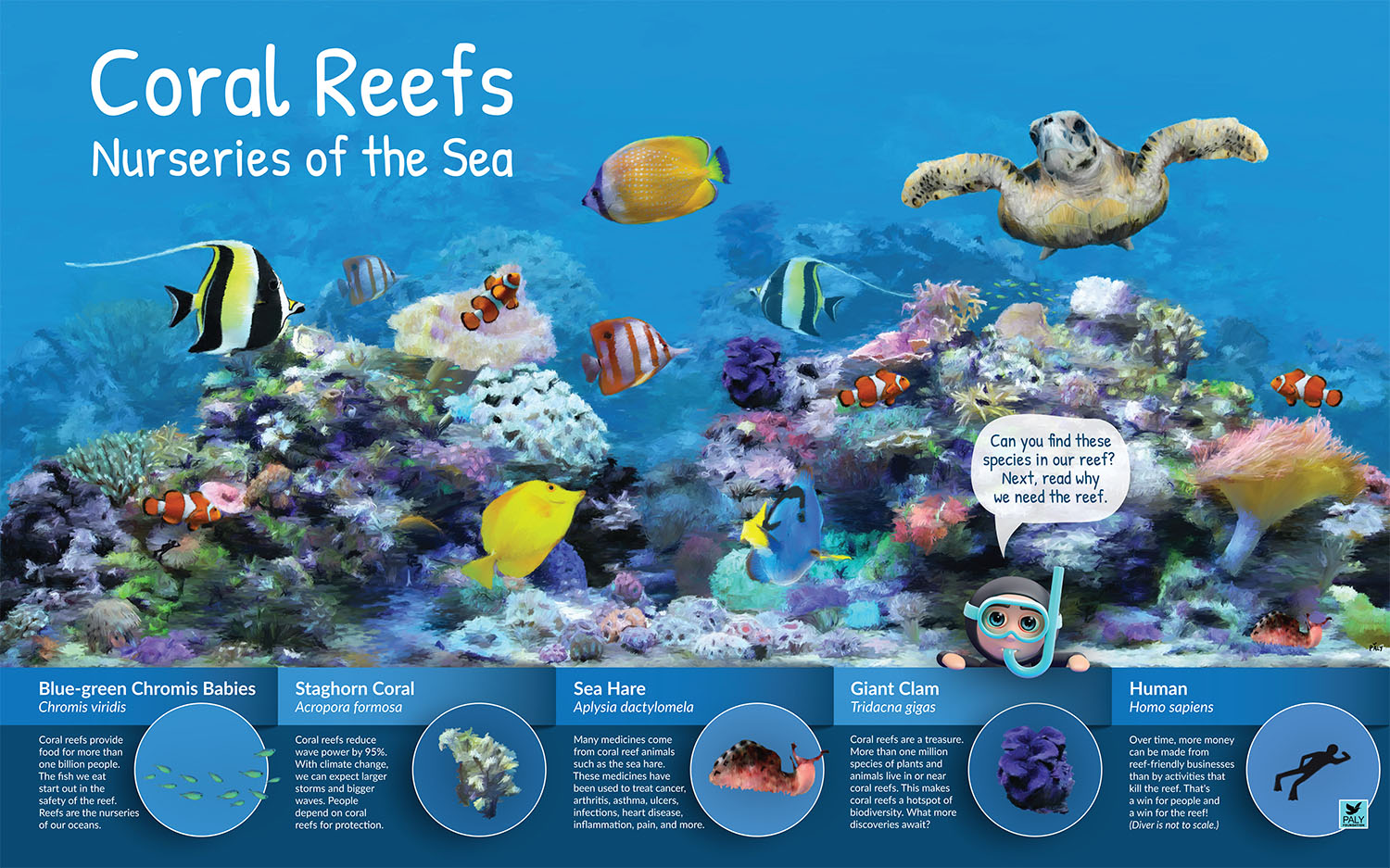 Coral_Reef_Nurseries_of_the_Sea_Engagement_Panel_NatureExhibits_Paly_Foundation_Web.jpg